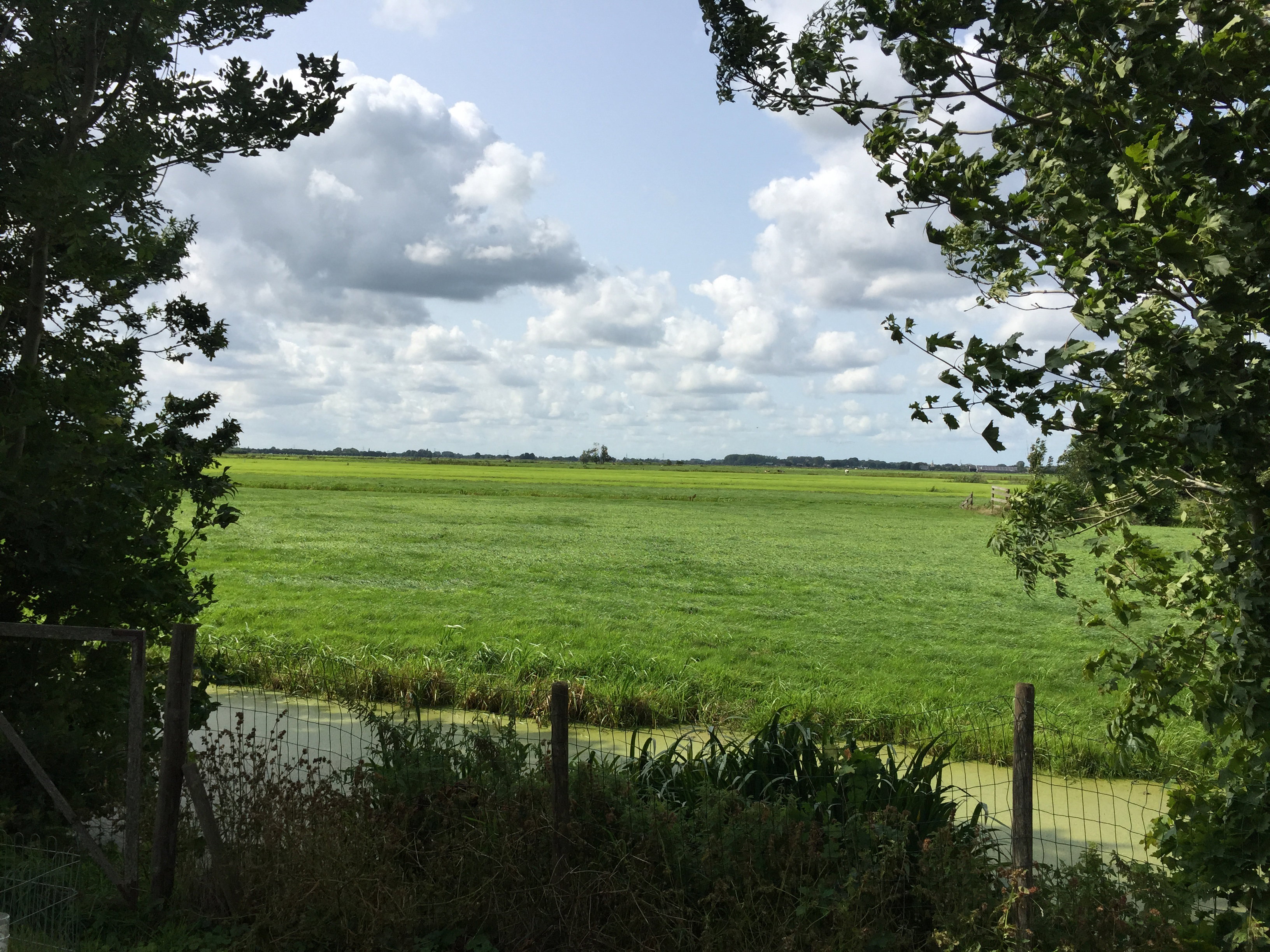 Naturhäuschen in Vlist