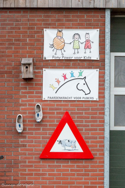- image: 51