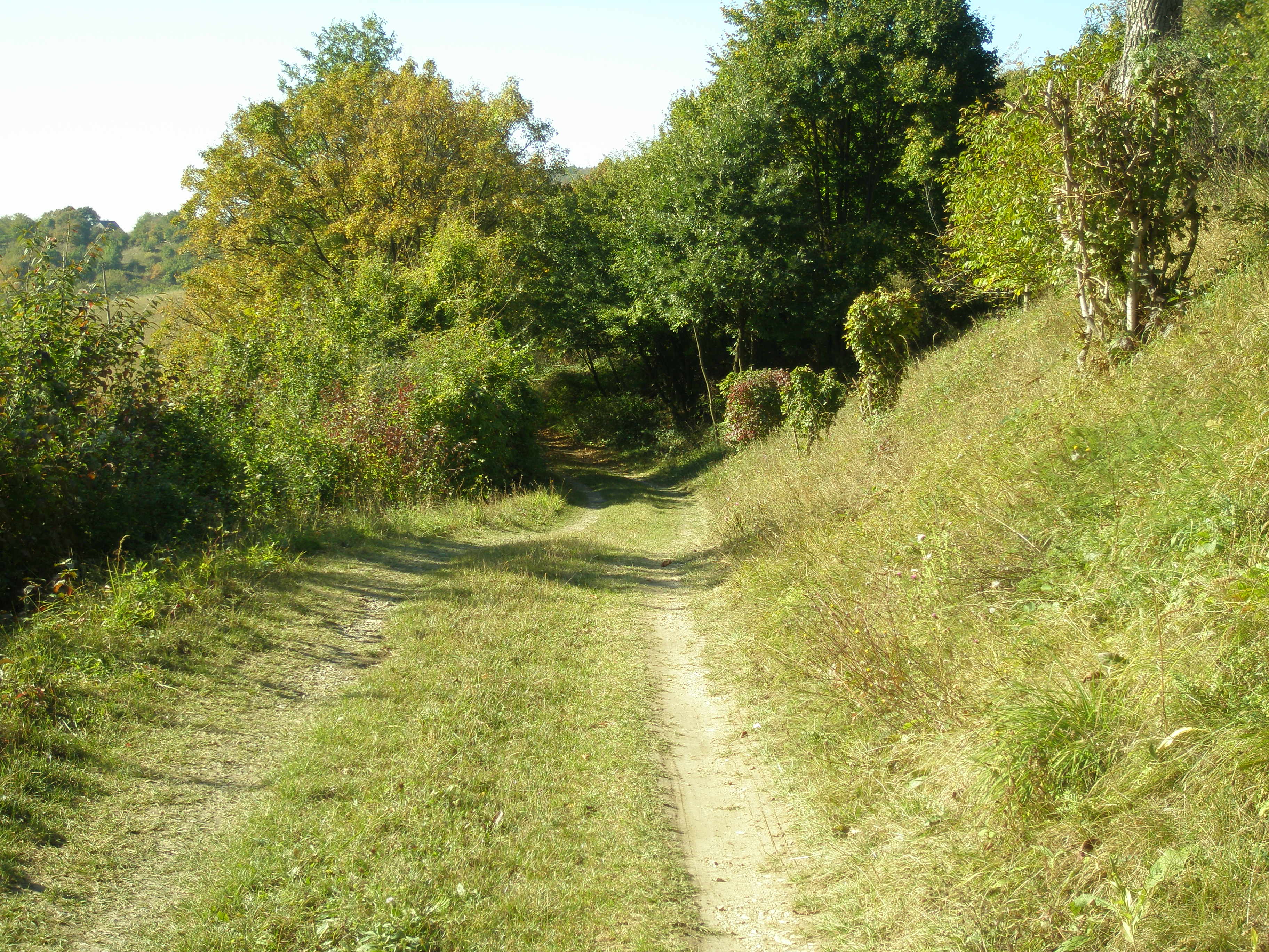- image: 28