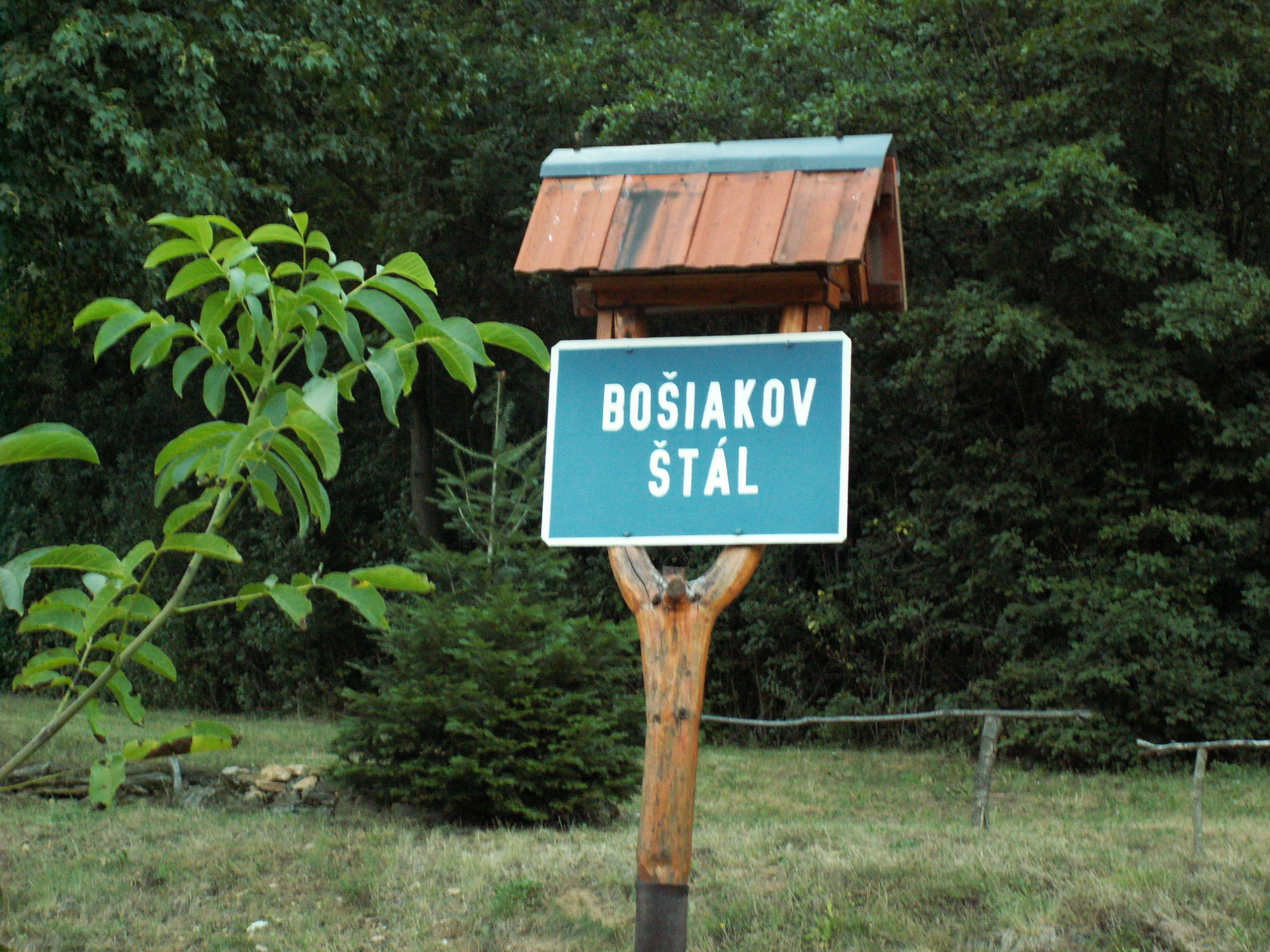 - image: 20