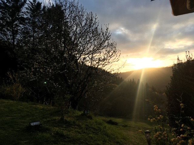 Natuurhuisje in La Bastide Solages