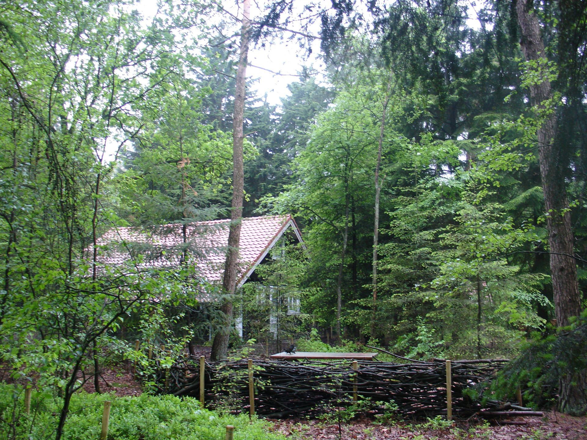 Casa nella natura a Emst