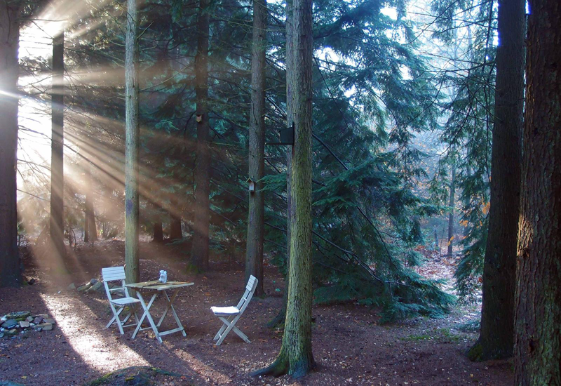Casa nella natura a Emst