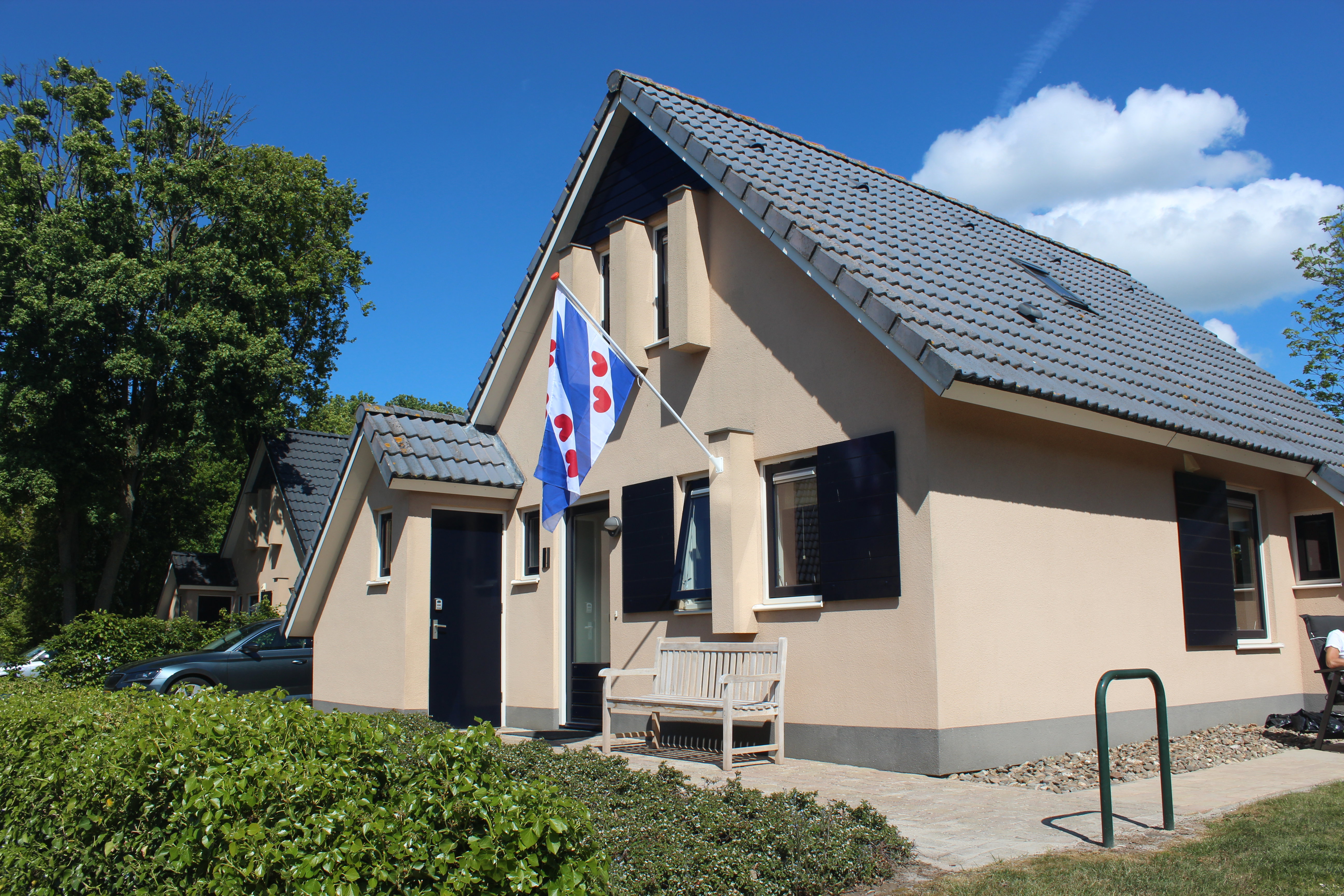 - image: 1