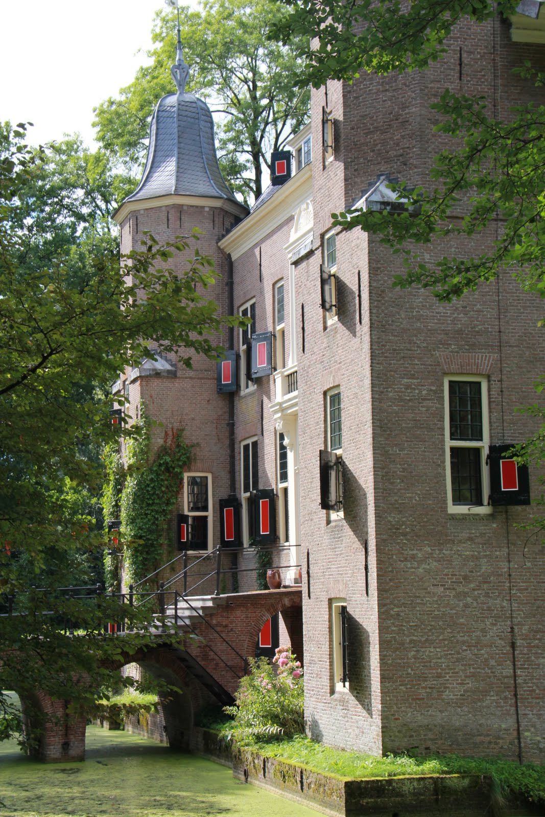 - image: 25