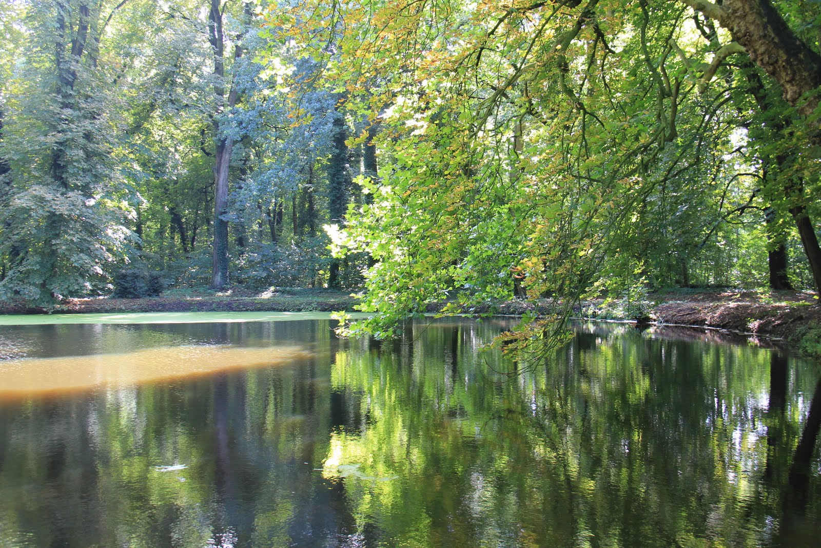 - image: 27