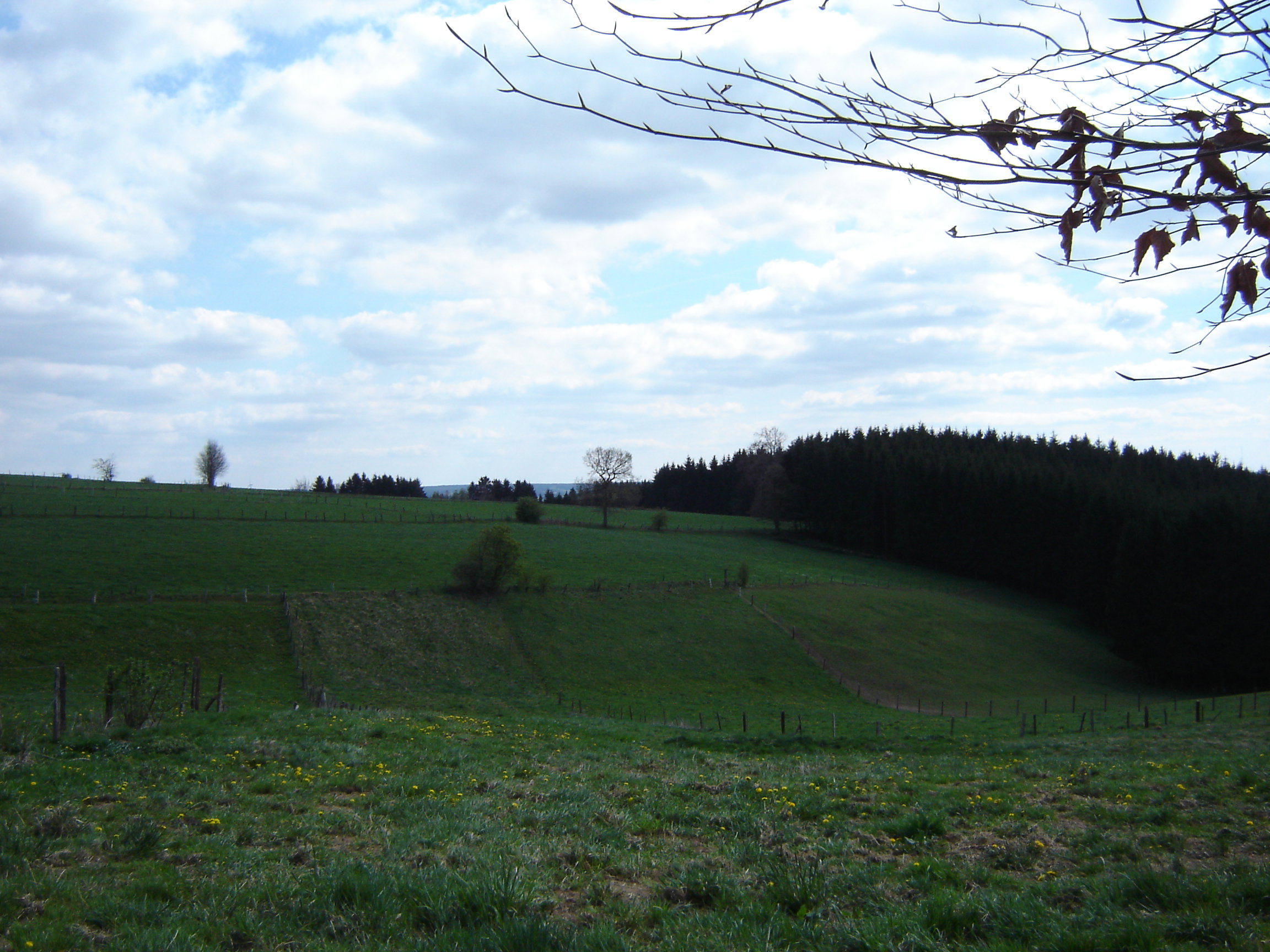 - image: 23