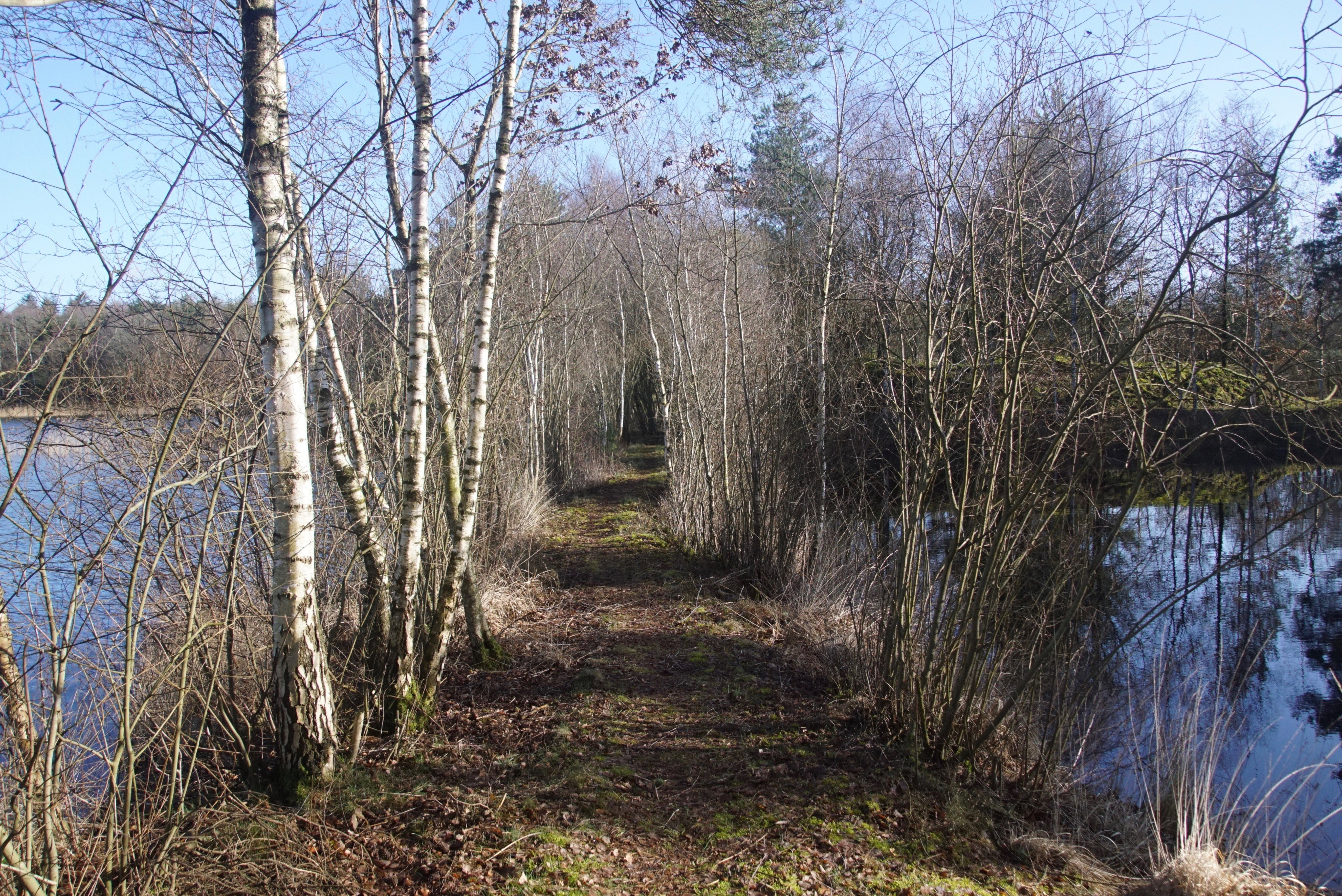 - image: 21