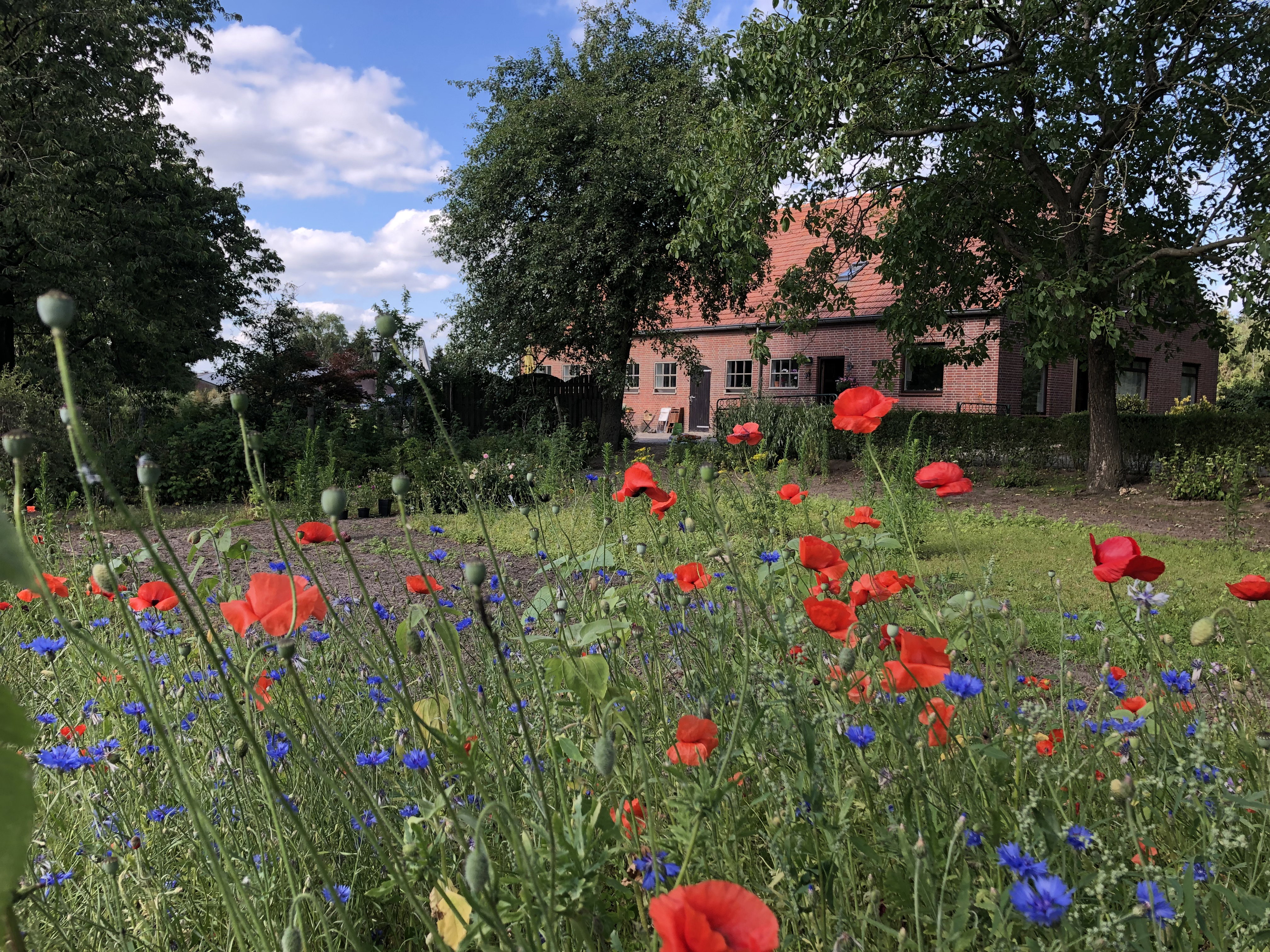 Naturhäuschen in Gilze