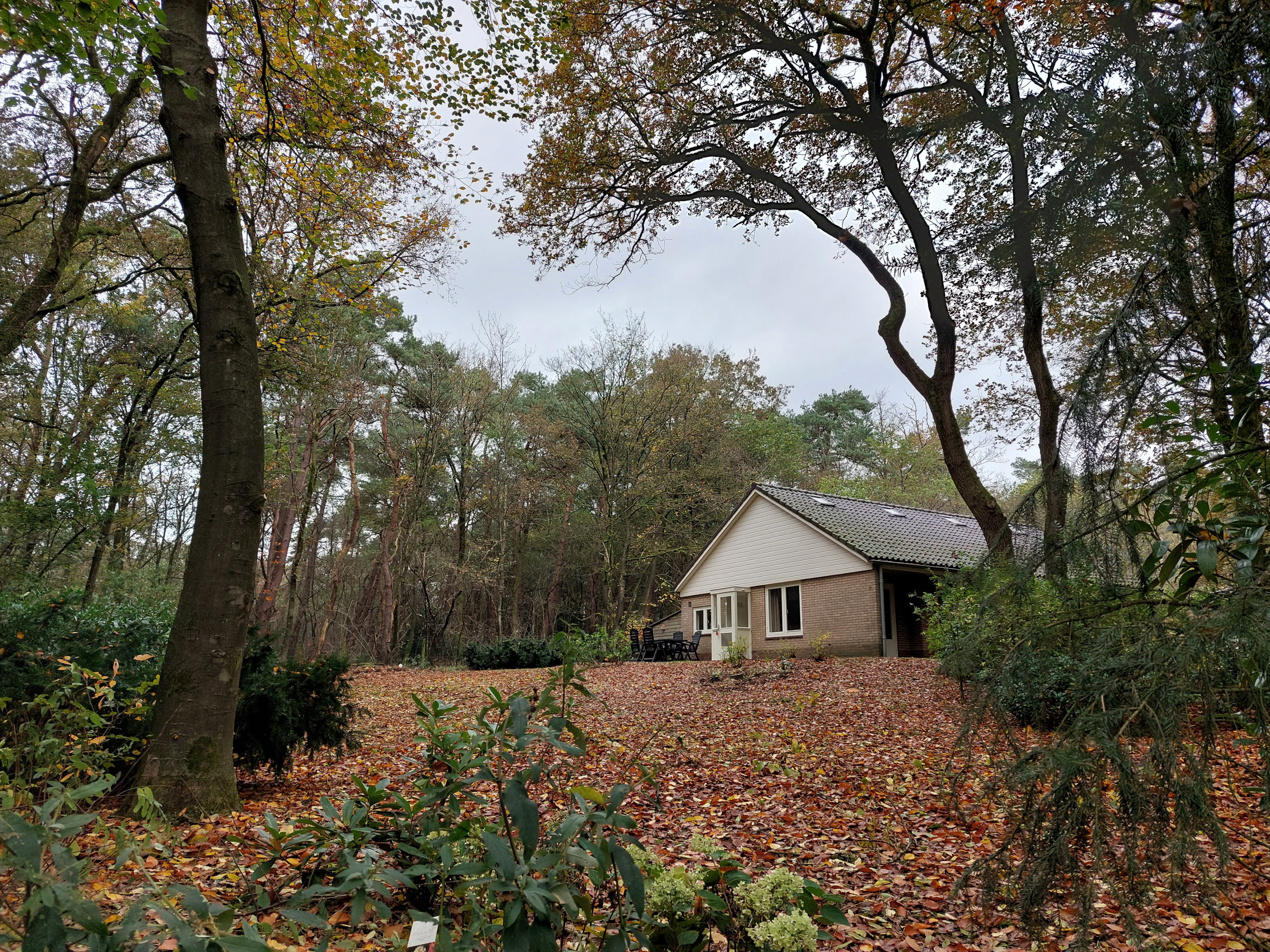 Natuurhuisje in Garderen