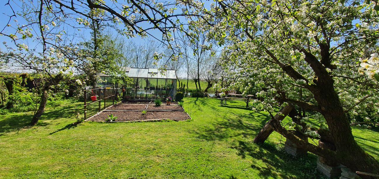 Natuurhuisje in Easterein