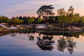 Naturhäuschen in Driebergen-Rijsenburg