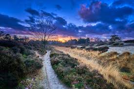 - image: 11