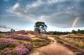 Naturhäuschen in Driebergen-Rijsenburg