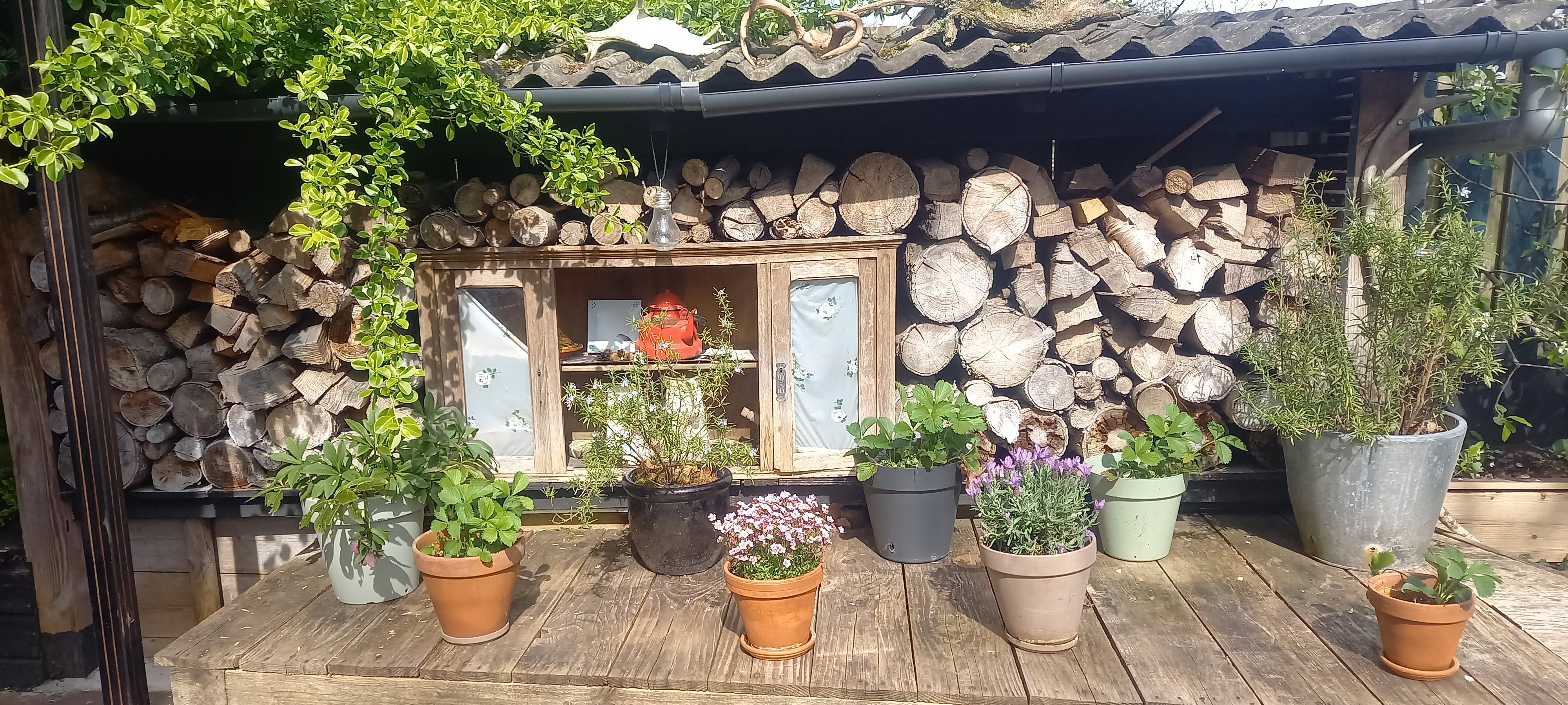Natuurhuisje in Driebergen-Rijsenburg