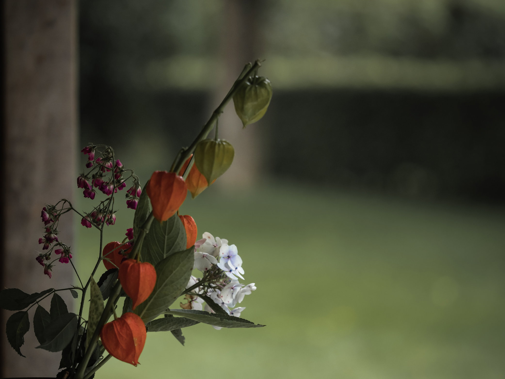 - image: 24