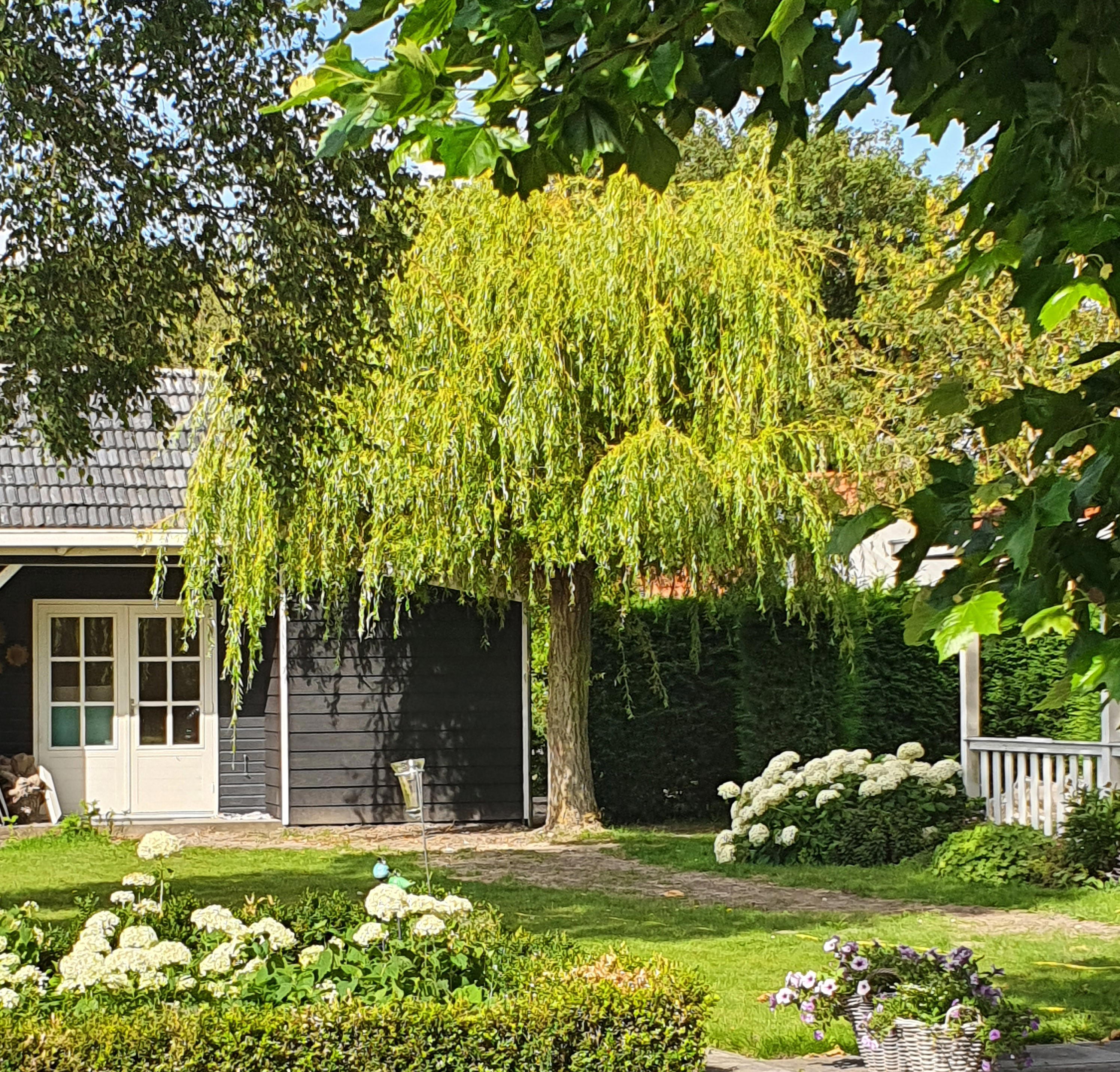 Nature house in Lewedorp