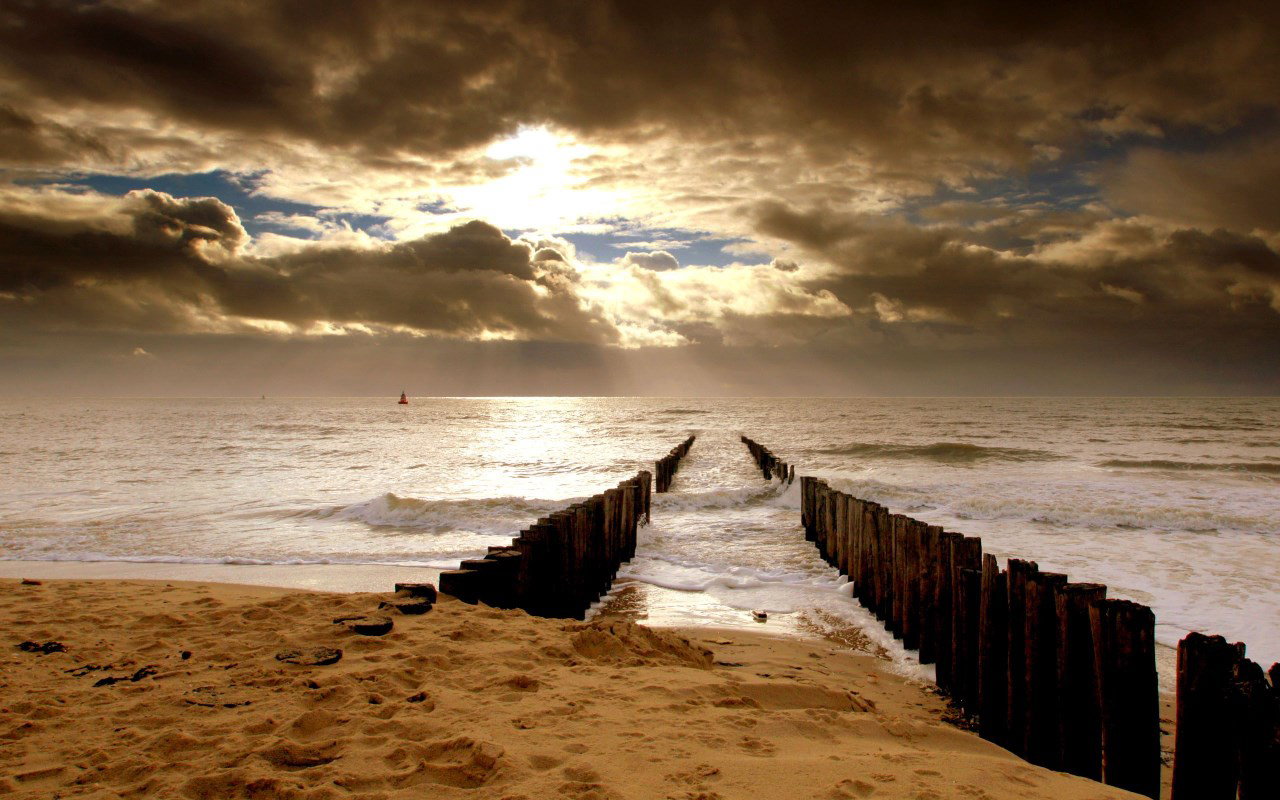 - image: 16