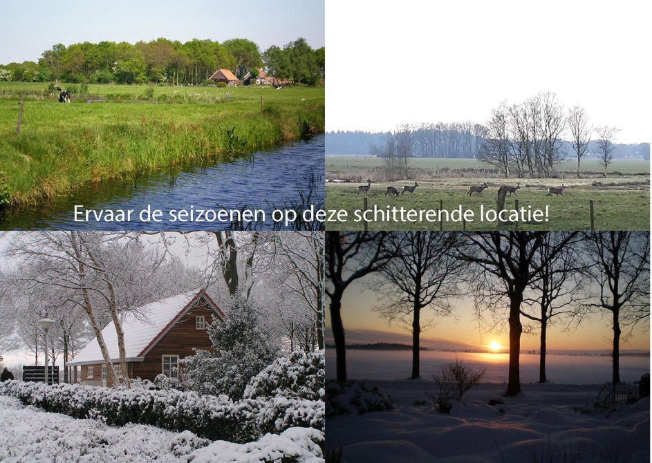 - image: 18