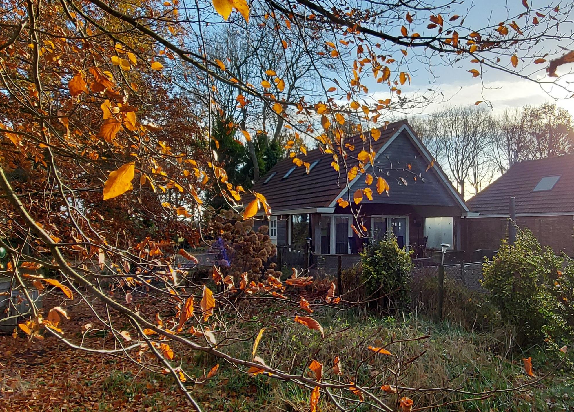 Natuurhuisje in Bakkeveen