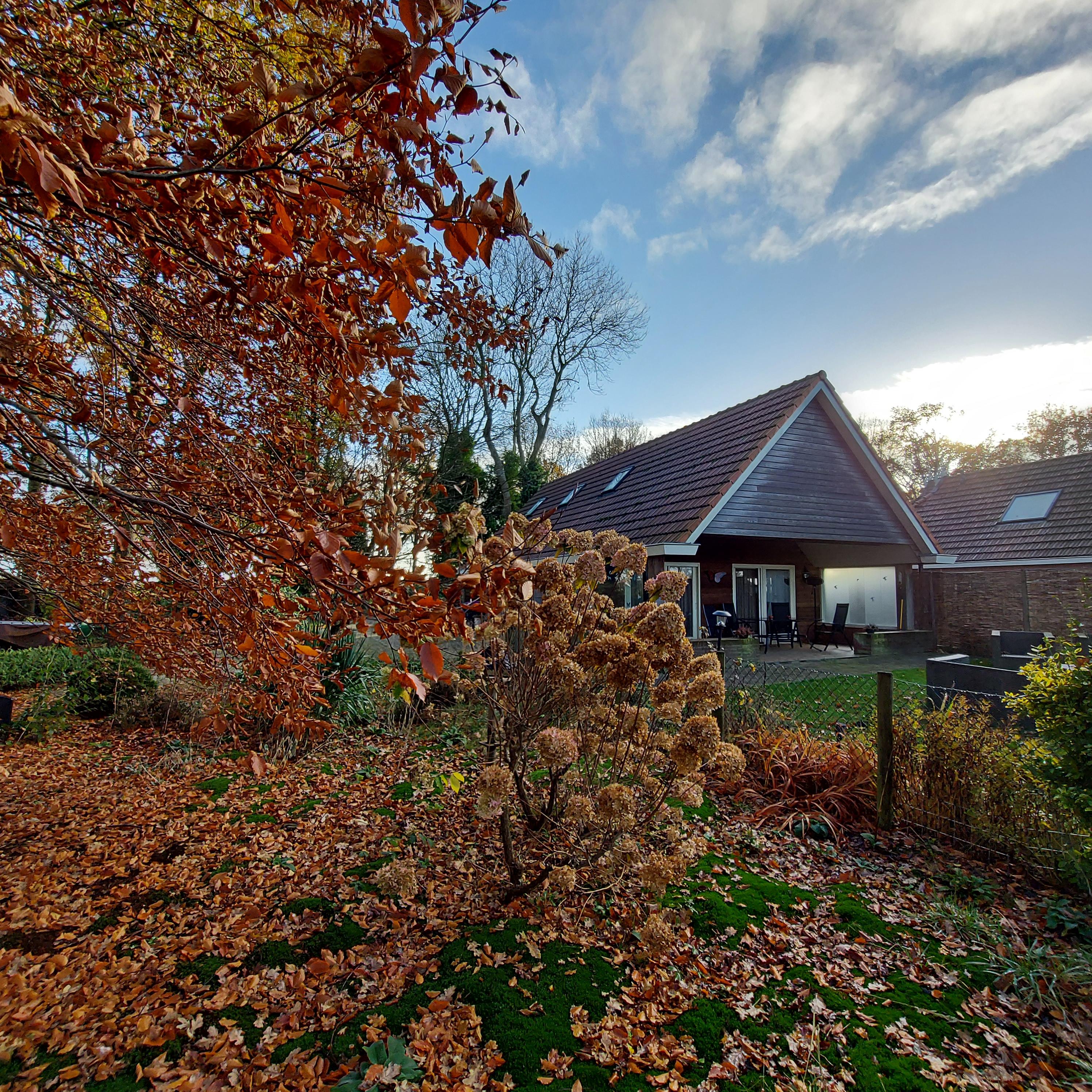 Natuurhuisje in Bakkeveen