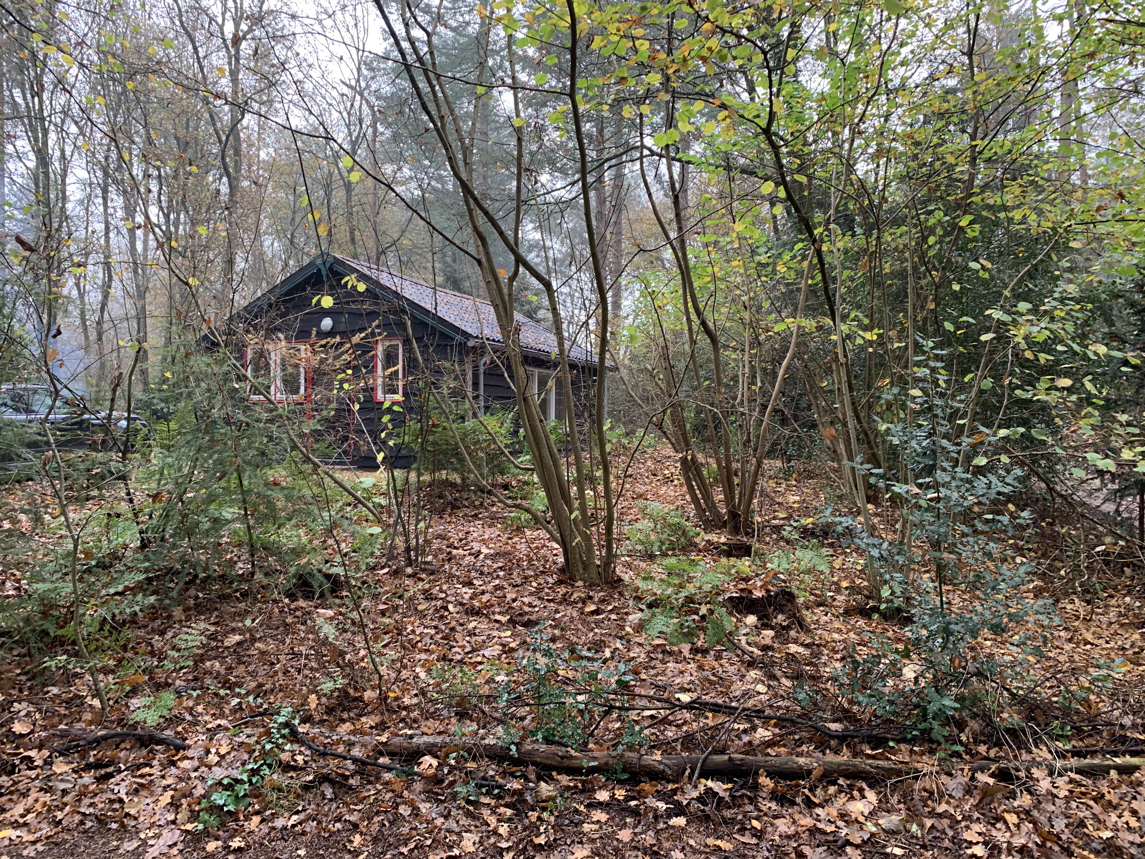 Nature house in Arriën