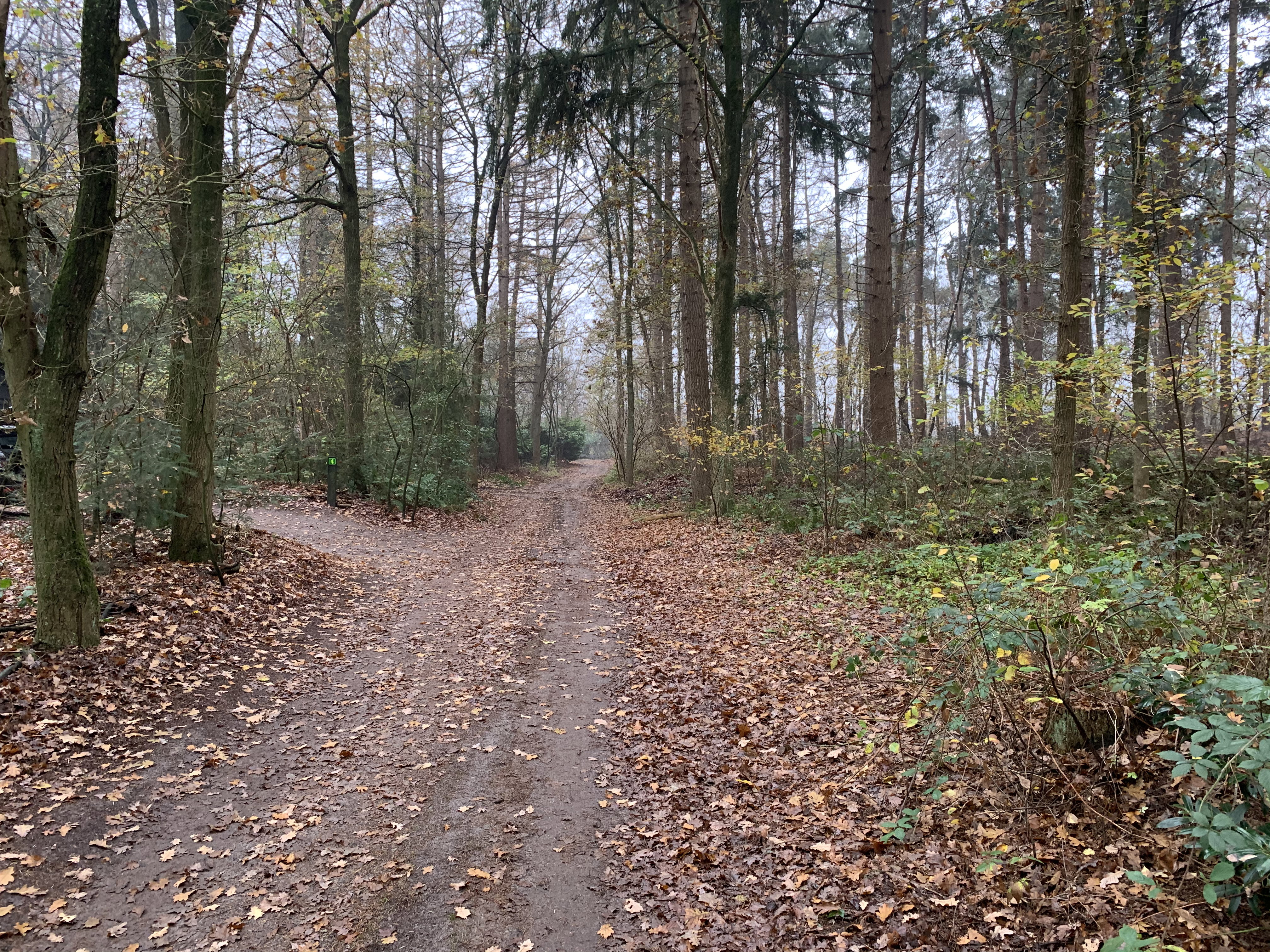 Naturhäuschen in Arriën