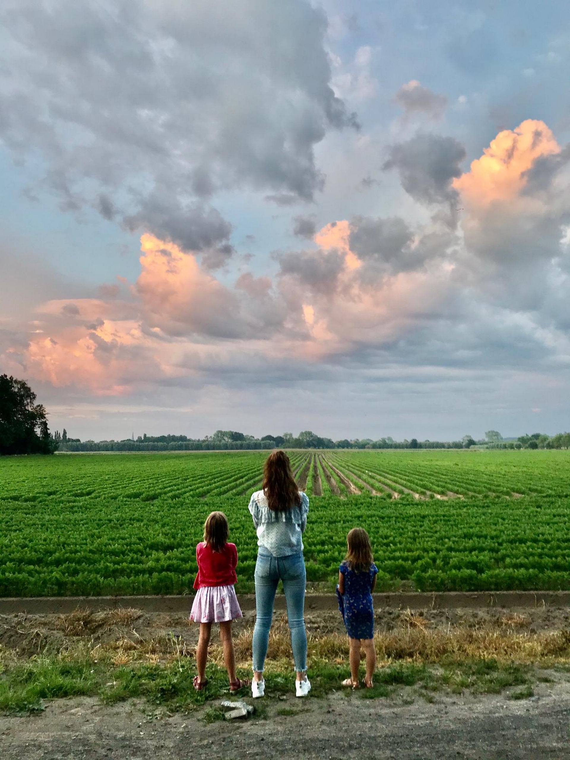 Natuurhuisje in Koekelare