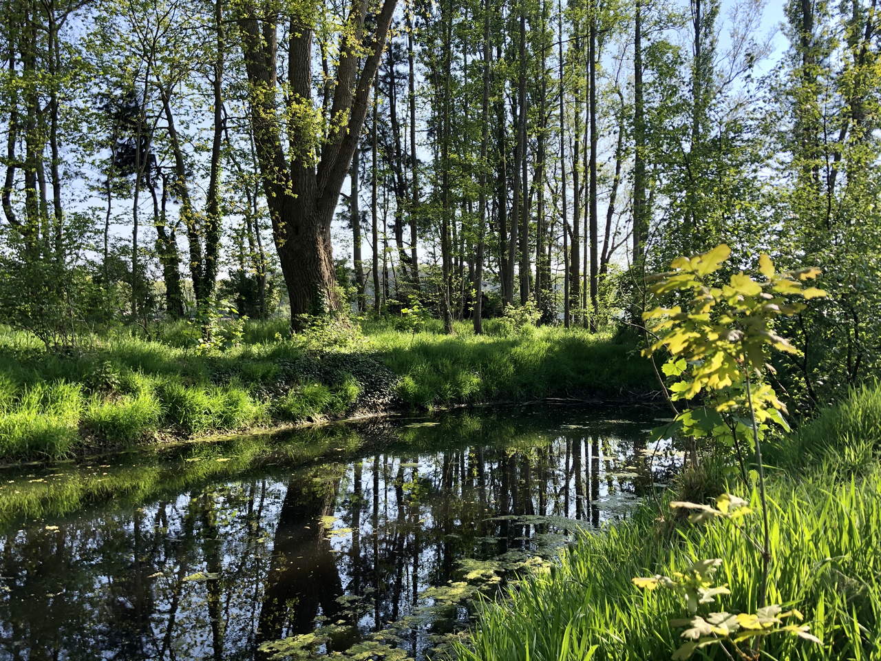 Natuurhuisje in Koekelare