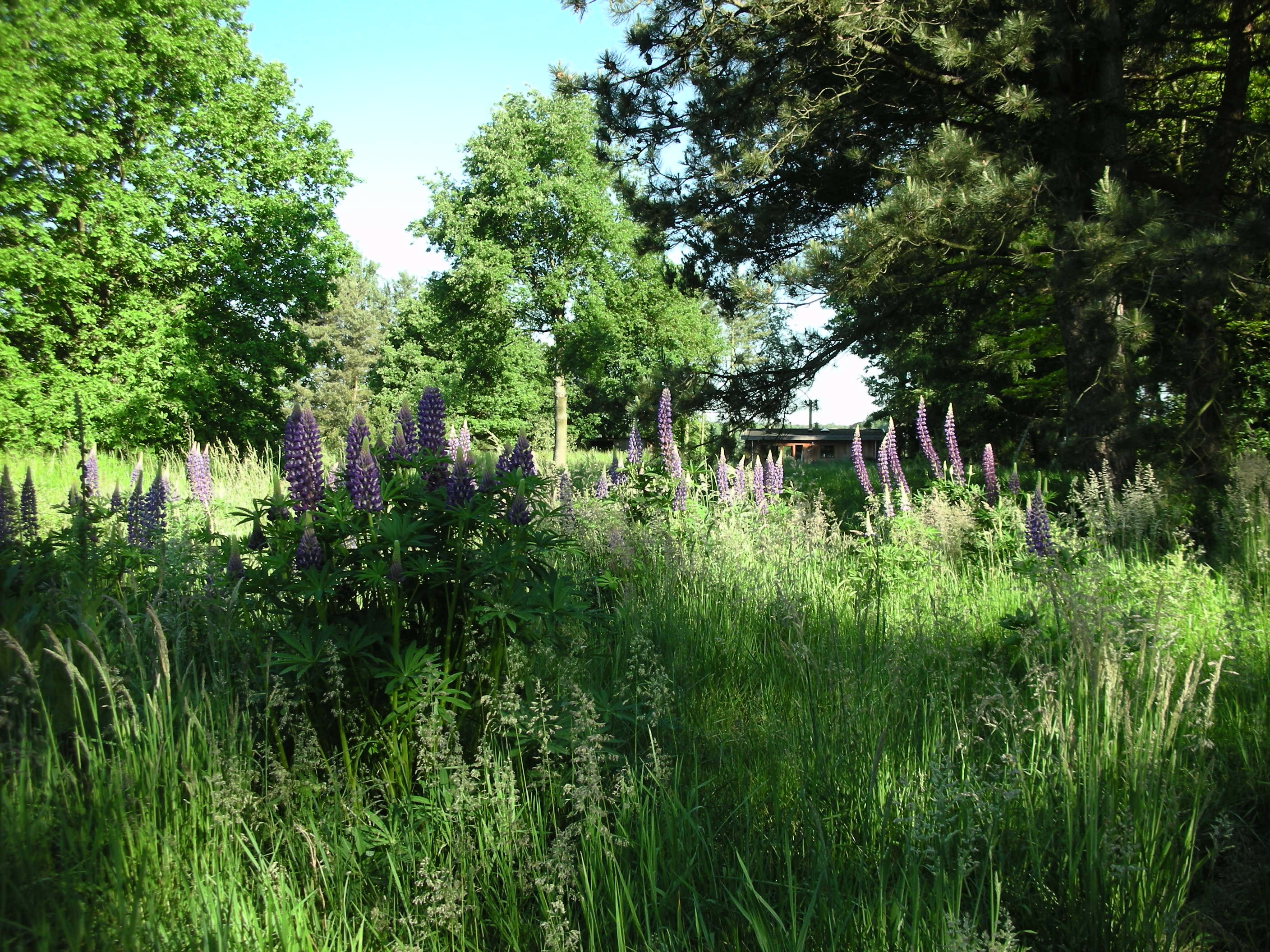Natuurhuisje in Olmen
