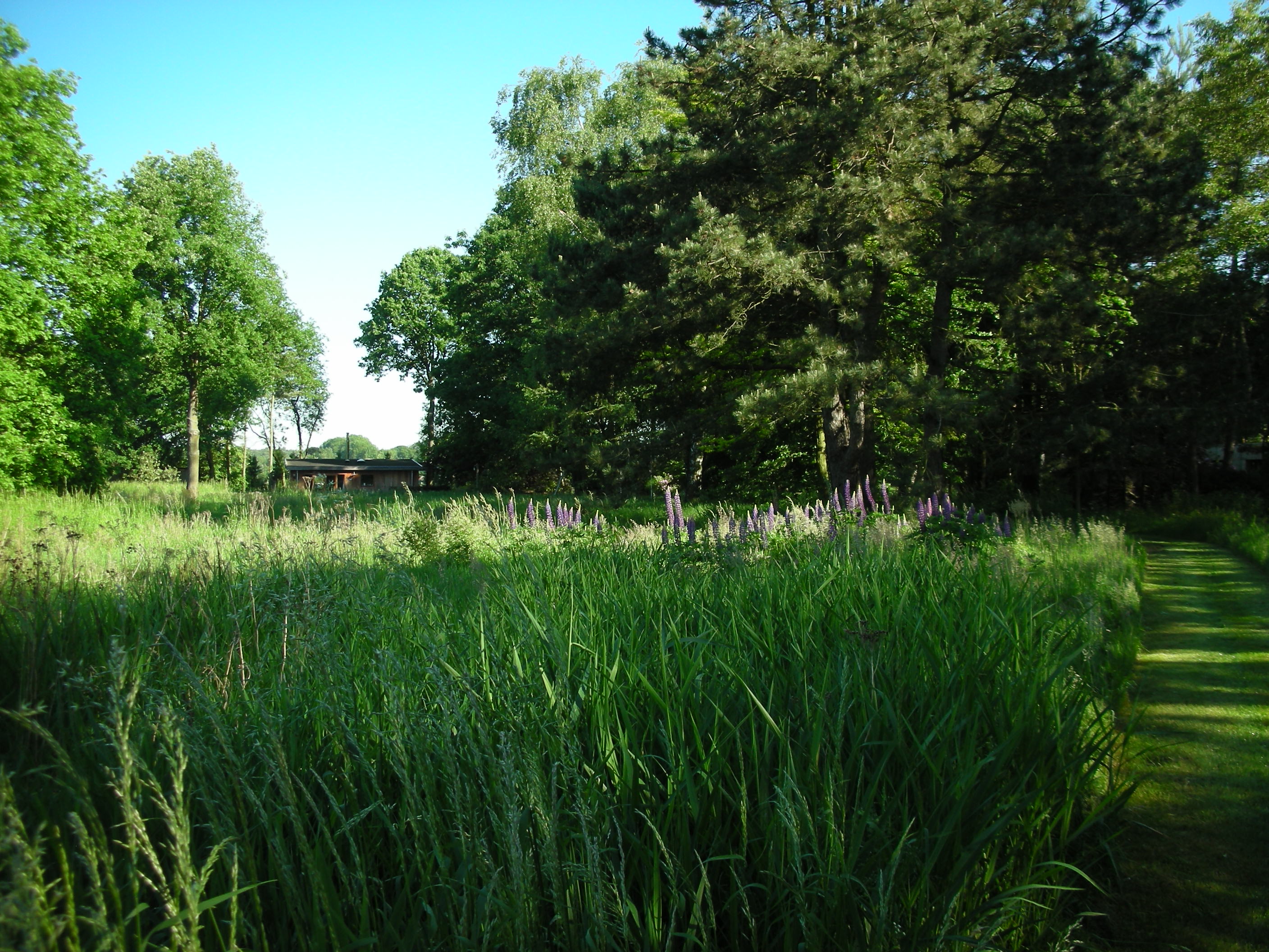 Natuurhuisje in Olmen