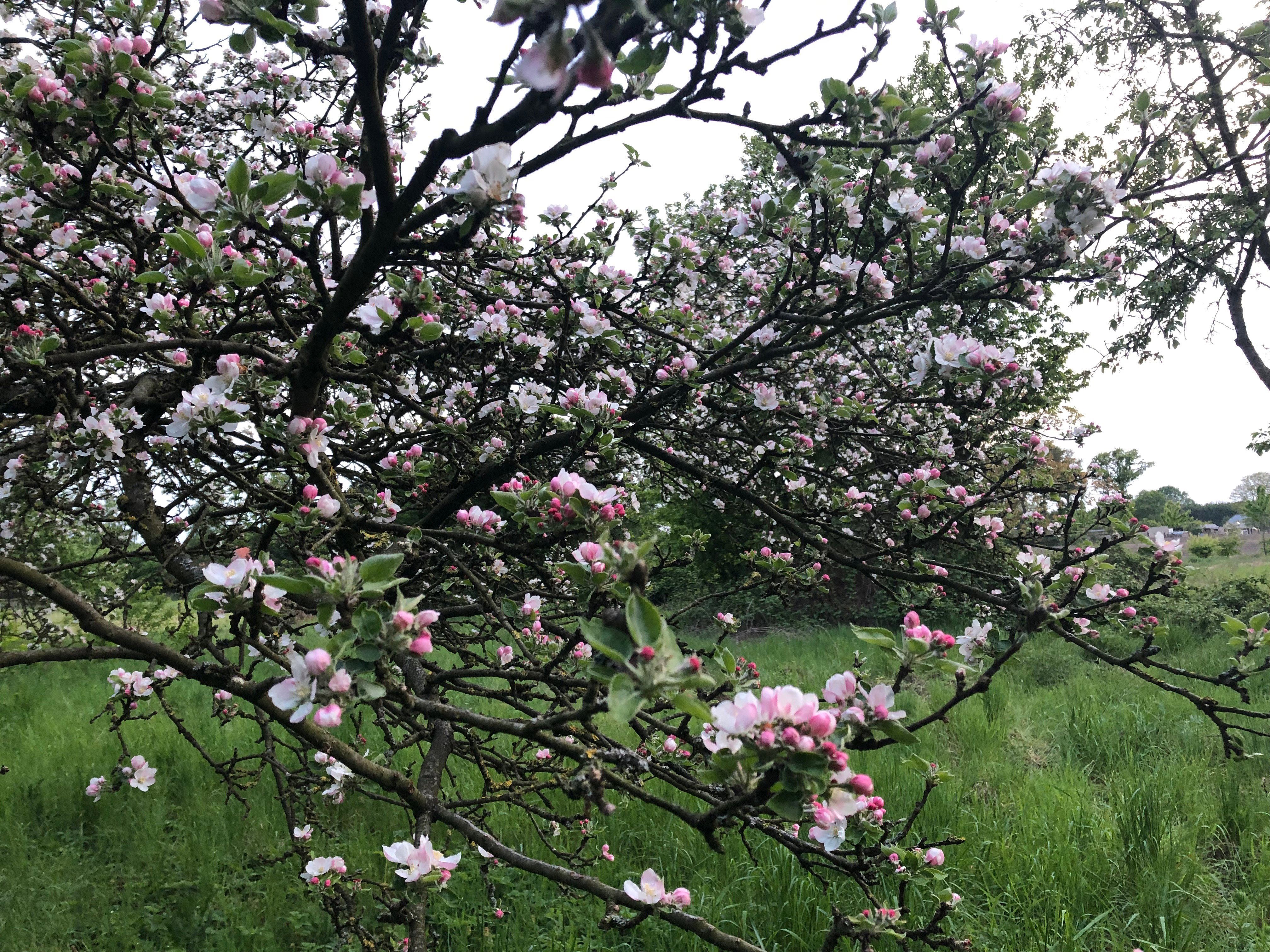 Natuurhuisje in Olmen
