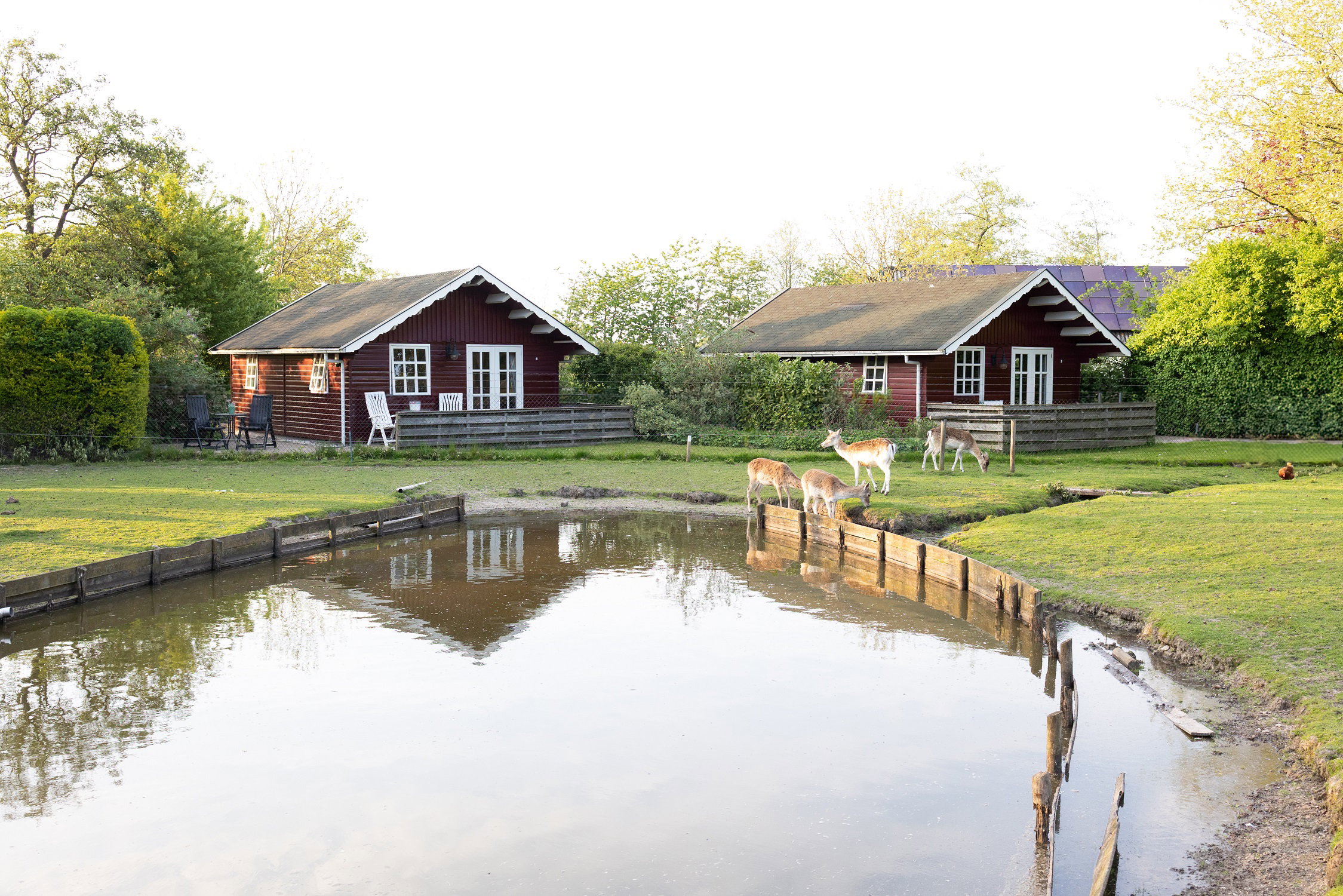 Maison nature à Kollumerzwaag