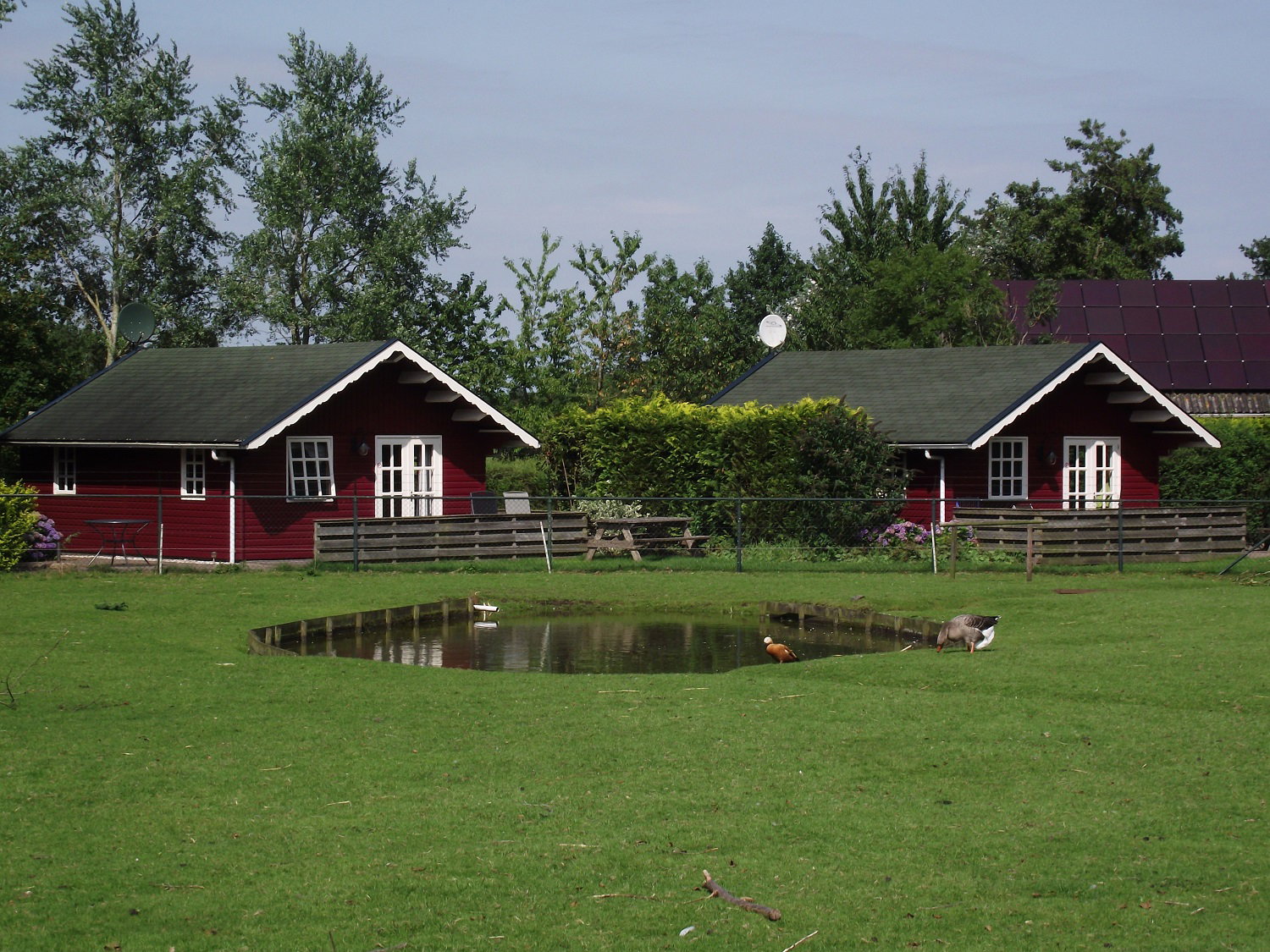Natuurhuisje in Kollumerzwaag
