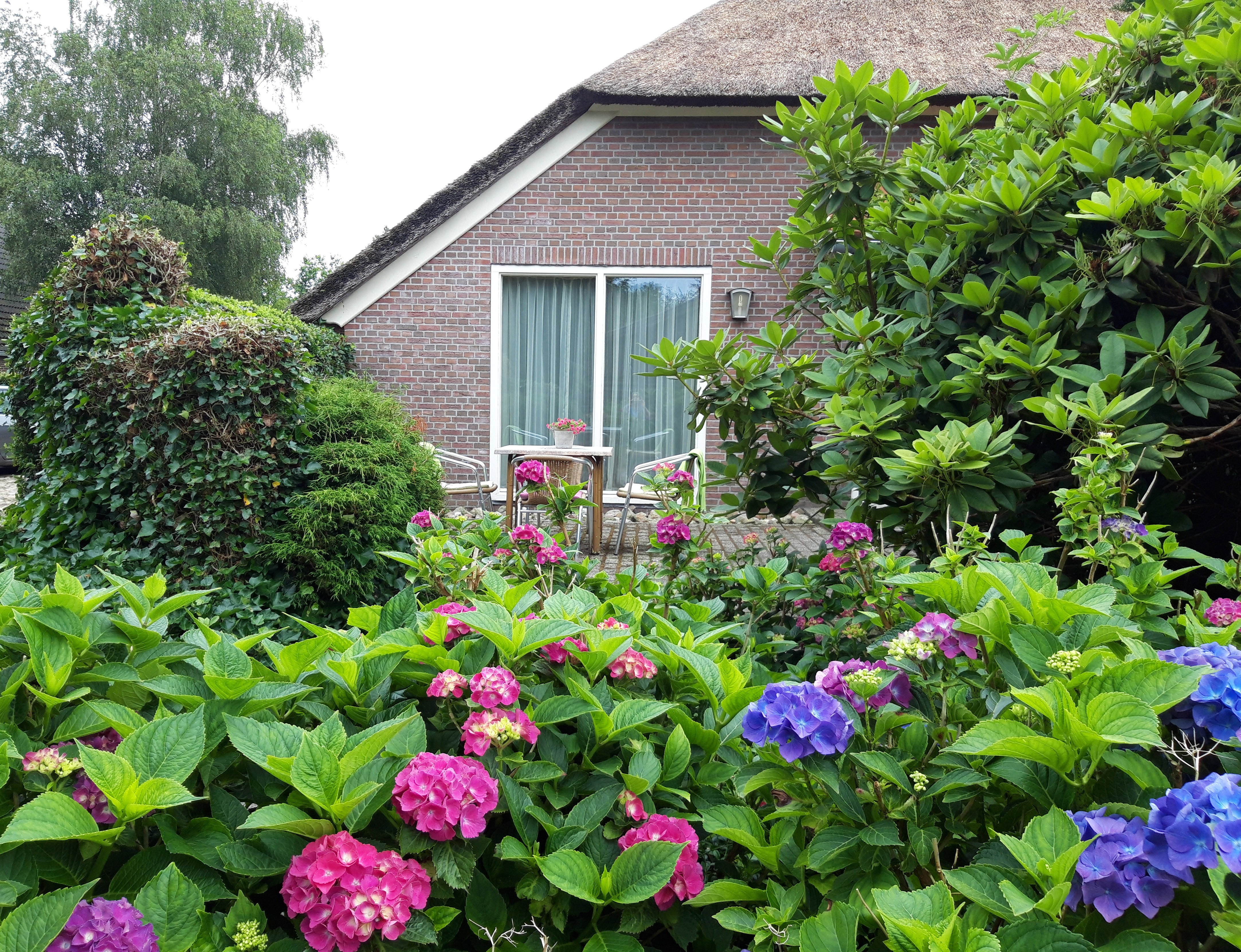 Natuurhuisje in Dwingeloo