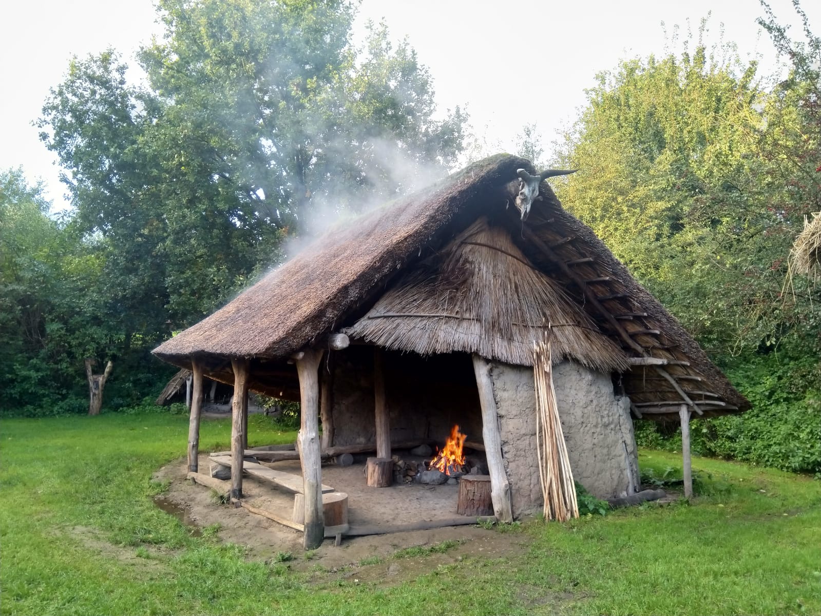 Maison nature à Lelystad