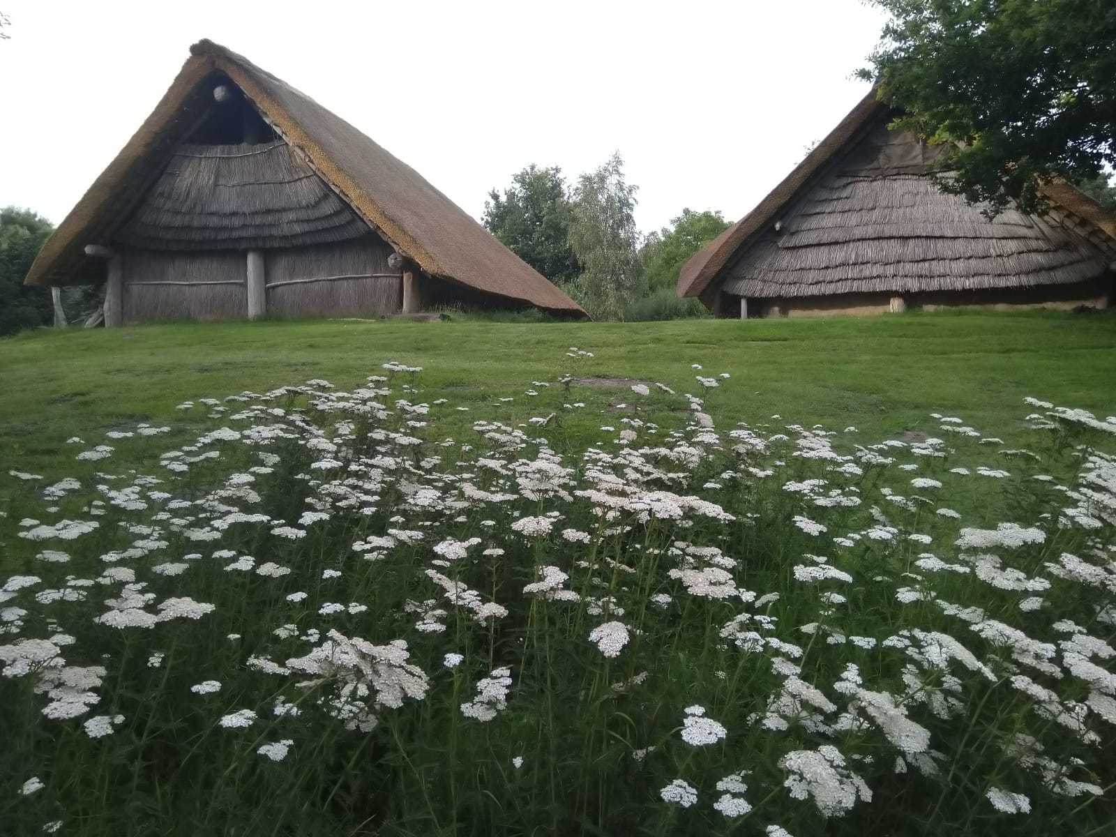Nature house in Lelystad