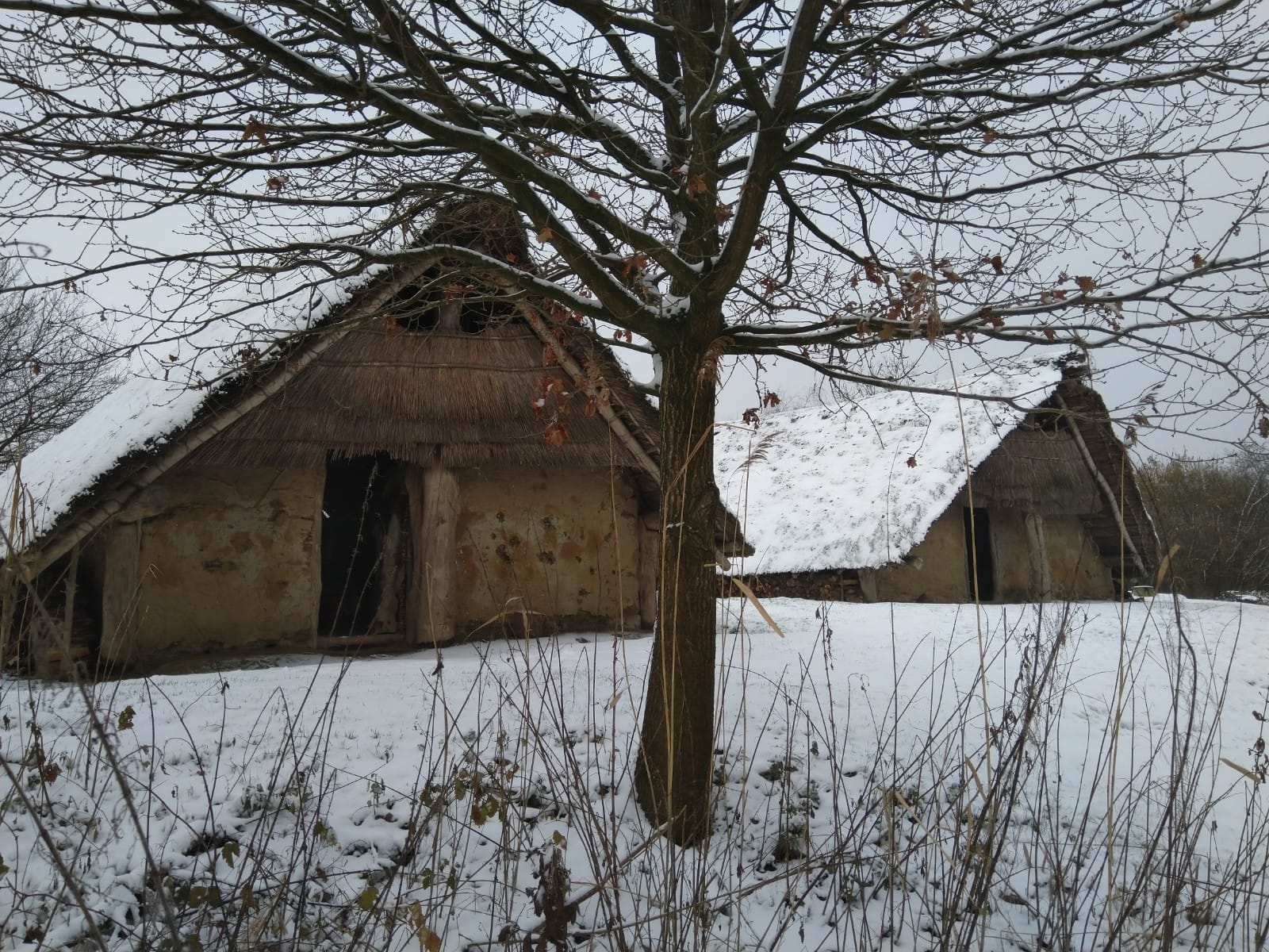 - image: 11