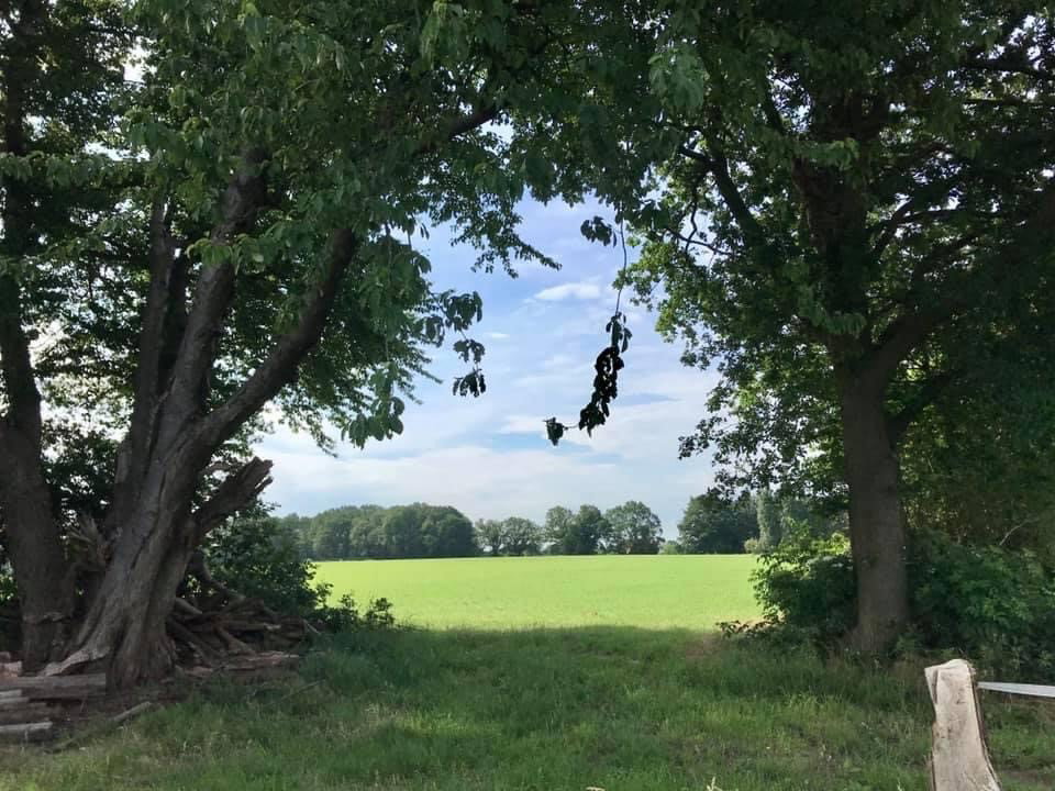 Natuurhuisje in Groesbeek