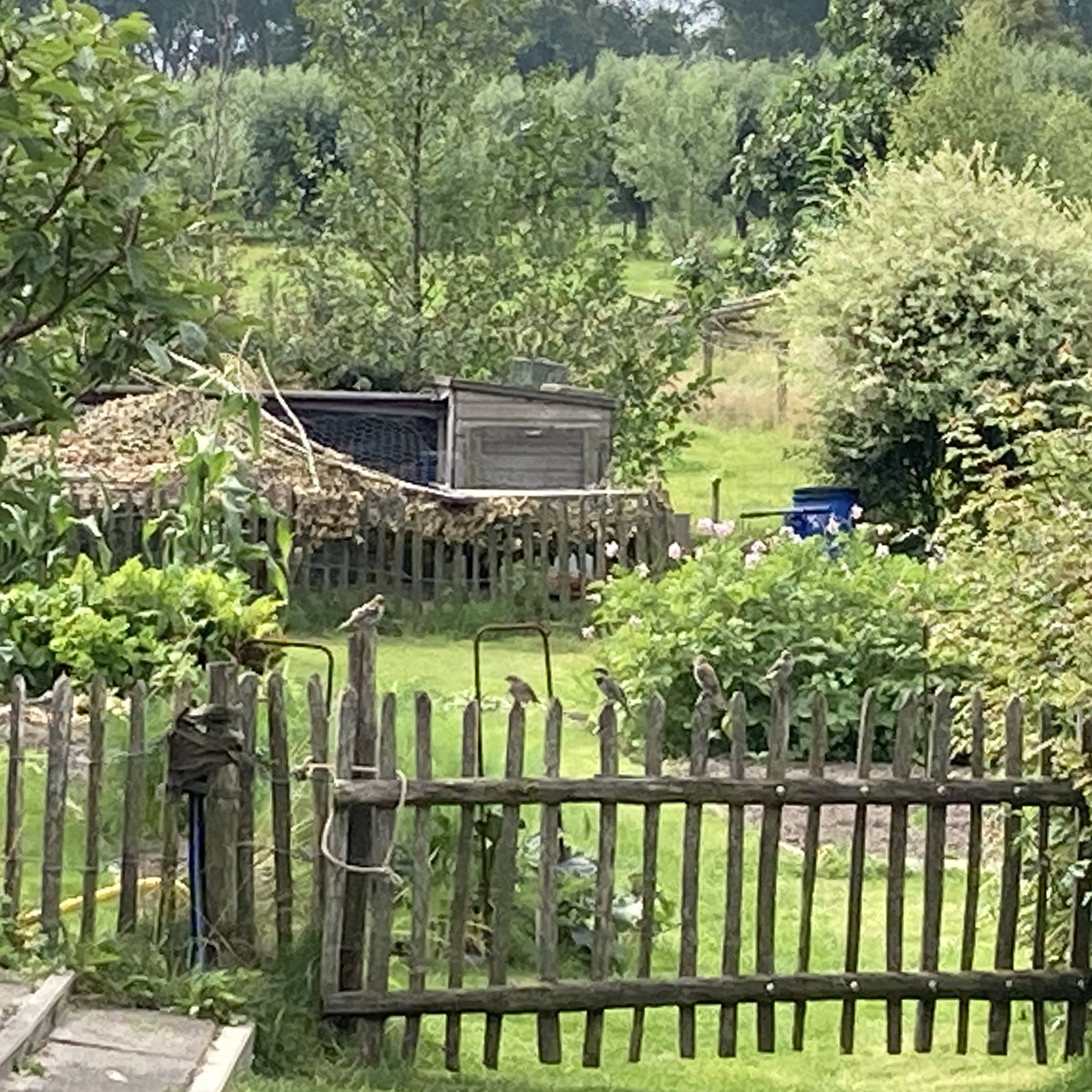 Maison nature à Castricum aan Zee