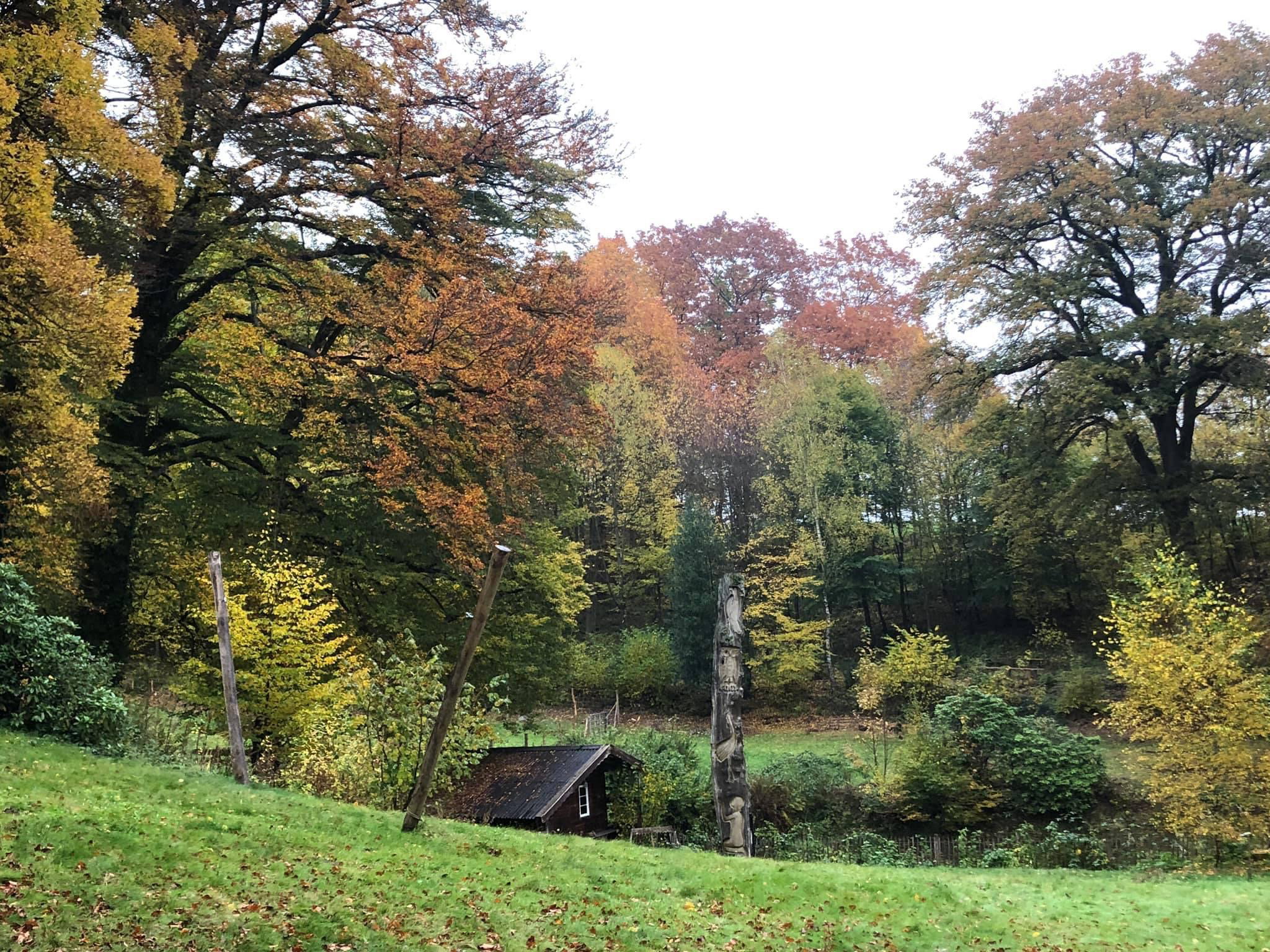 Naturhäuschen in Waldbröl