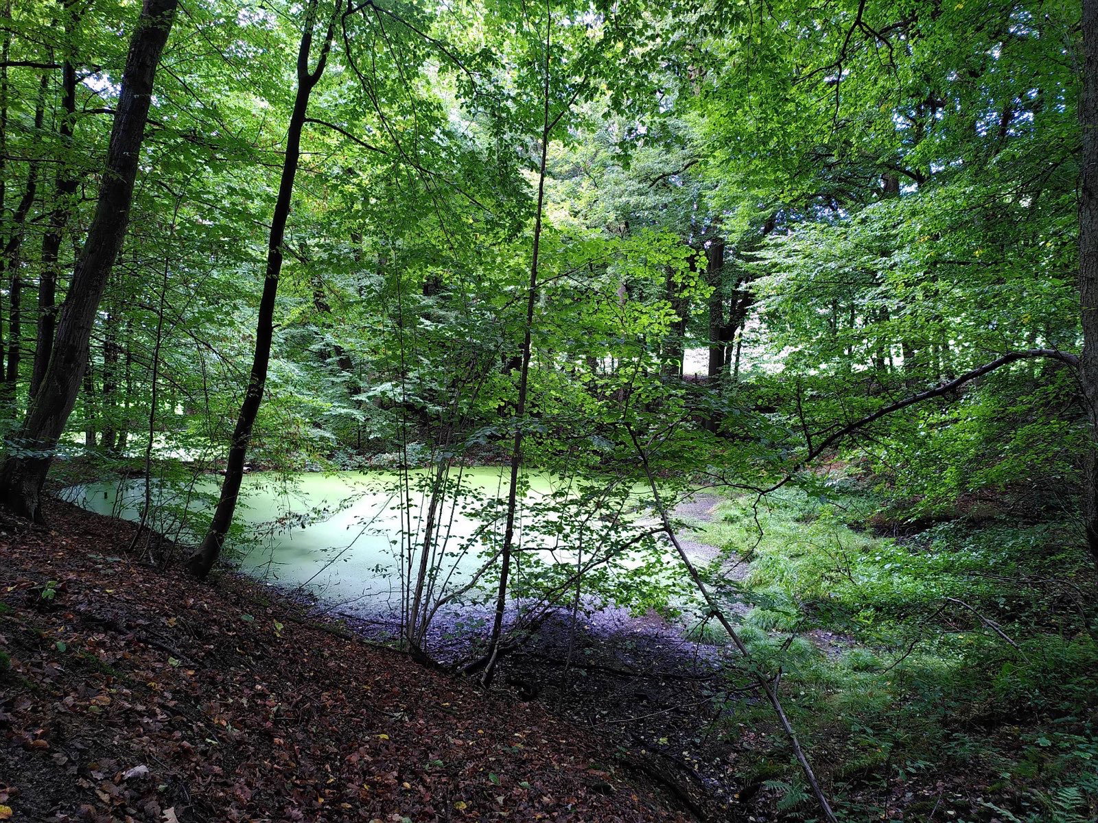 - image: 21