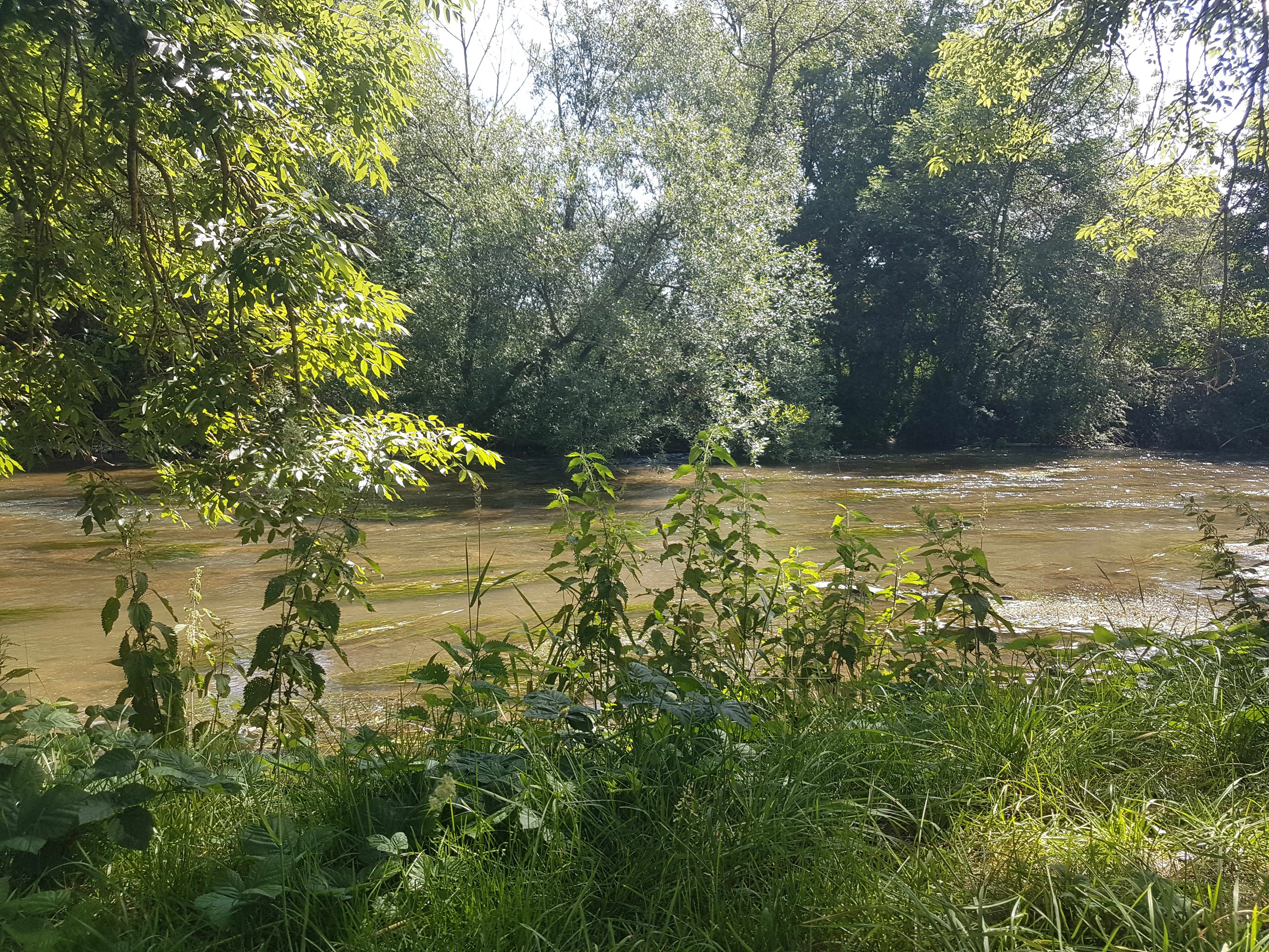 Natuurhuisje in Sougeres en Puisaye