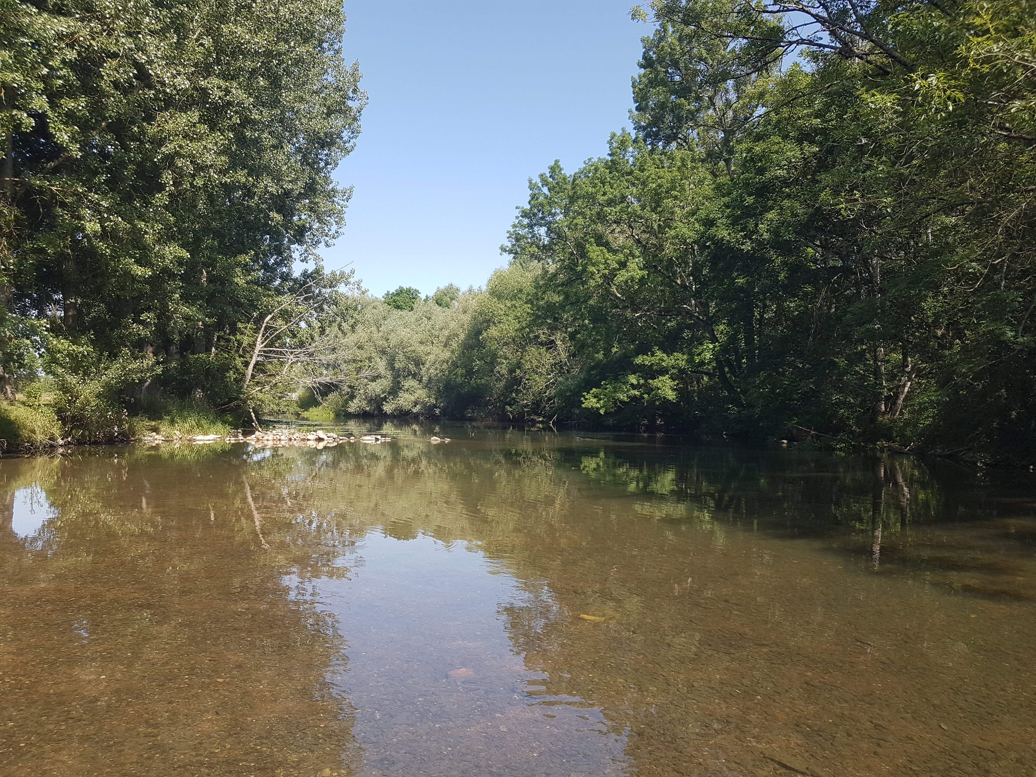 Natuurhuisje in Sougeres en Puisaye