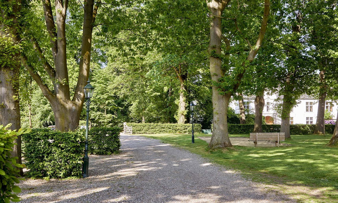 - image: 41