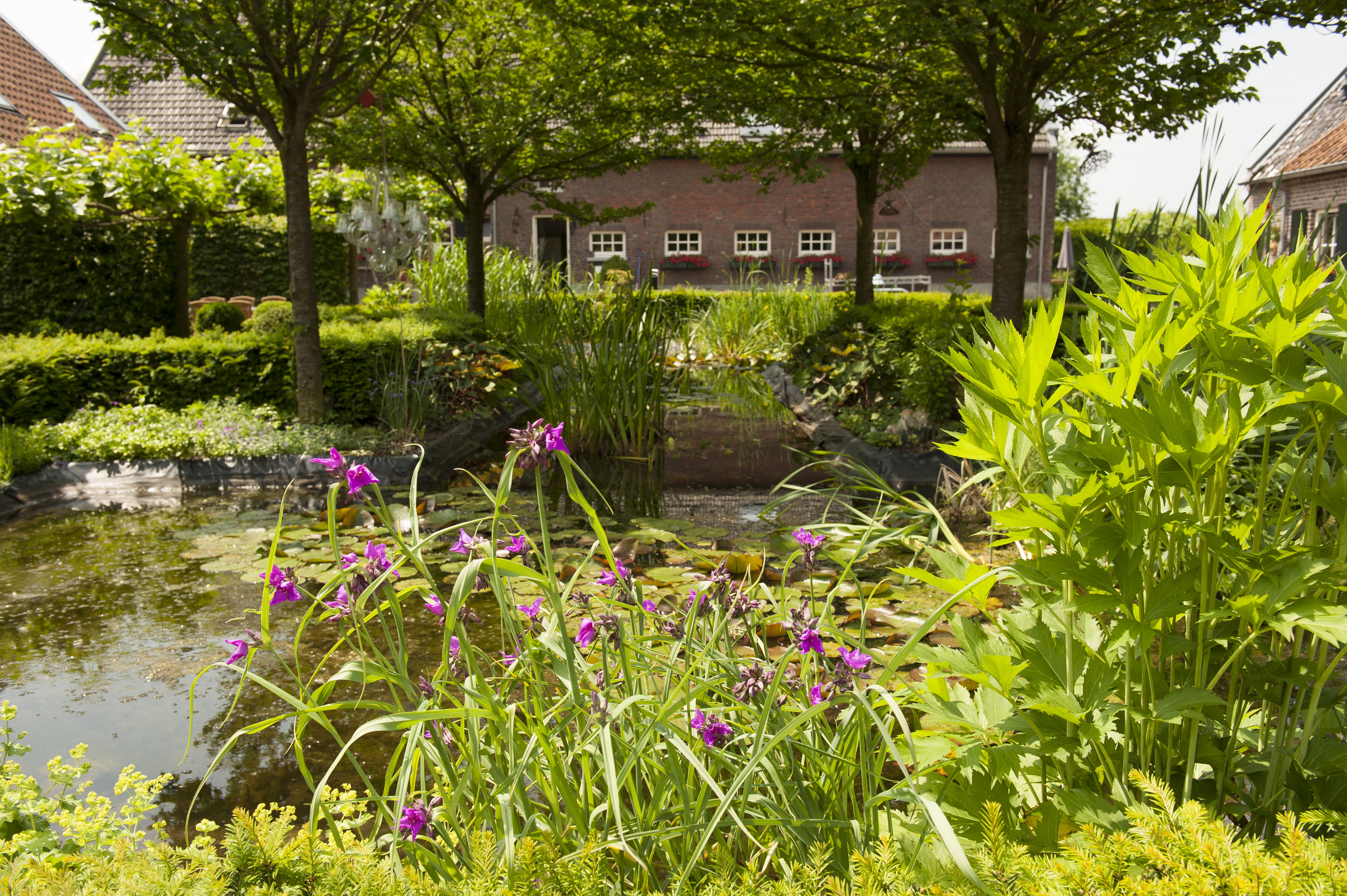 Natuurhuisje in Baarlo