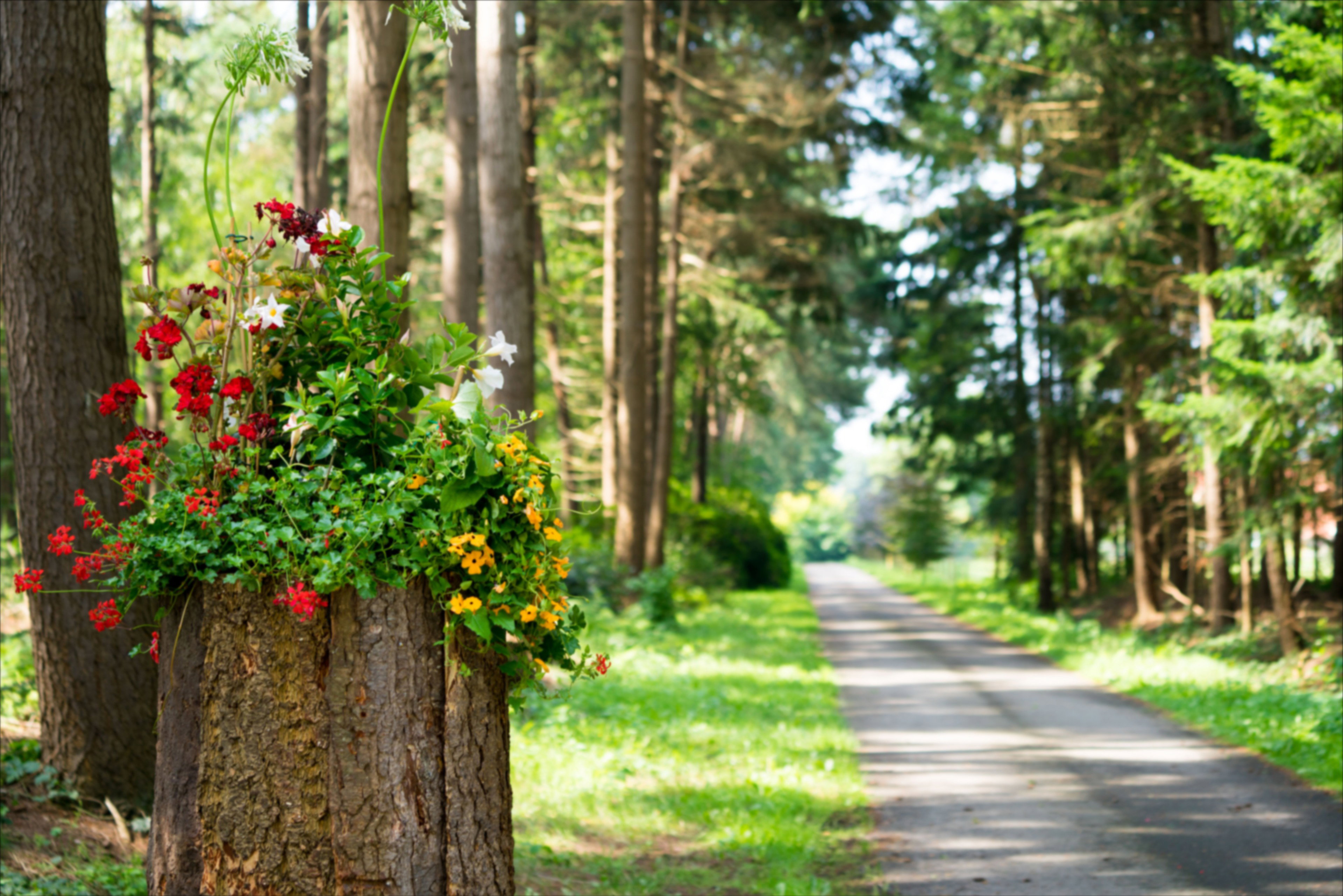 Naturhäuschen in Hengevelde