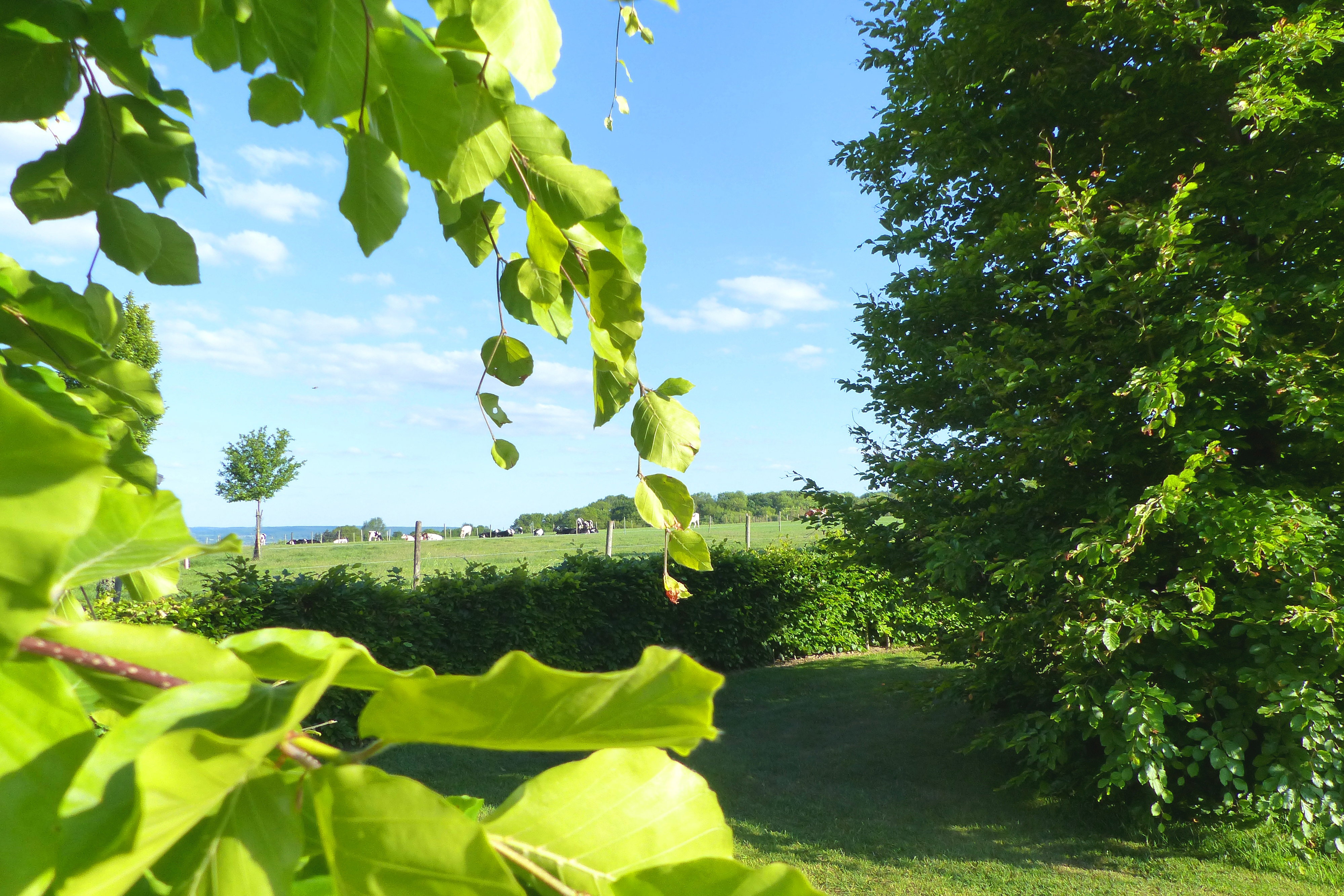 Natuurhuisje in Keutenberg-Schin op Geul