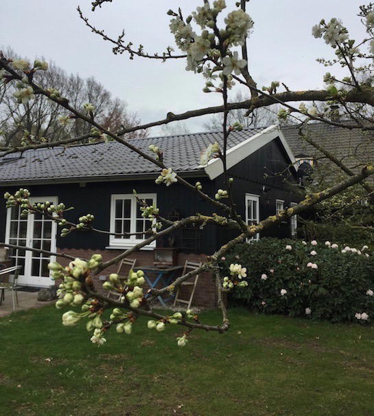 Nature house in Barchem