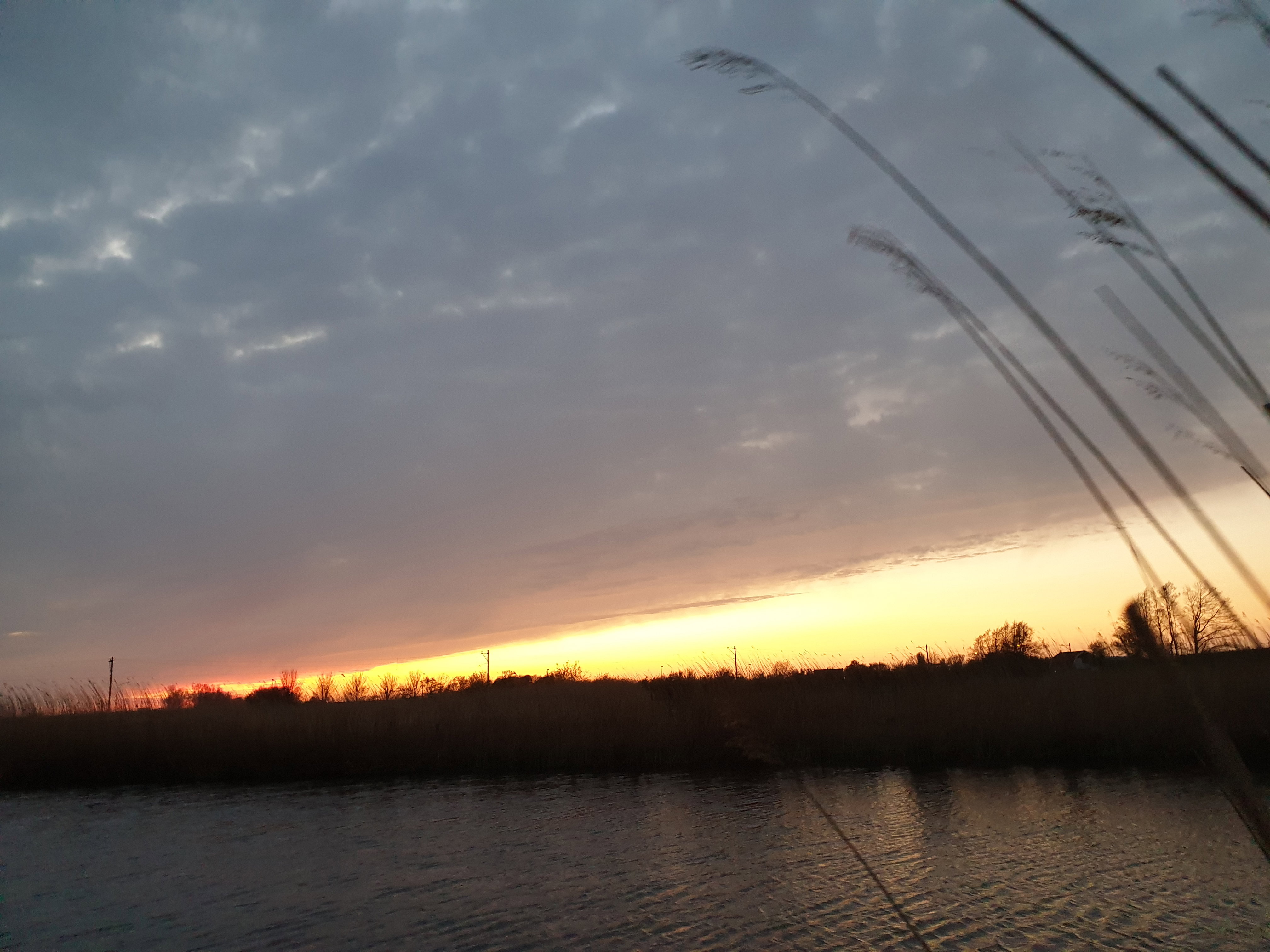 - image: 21